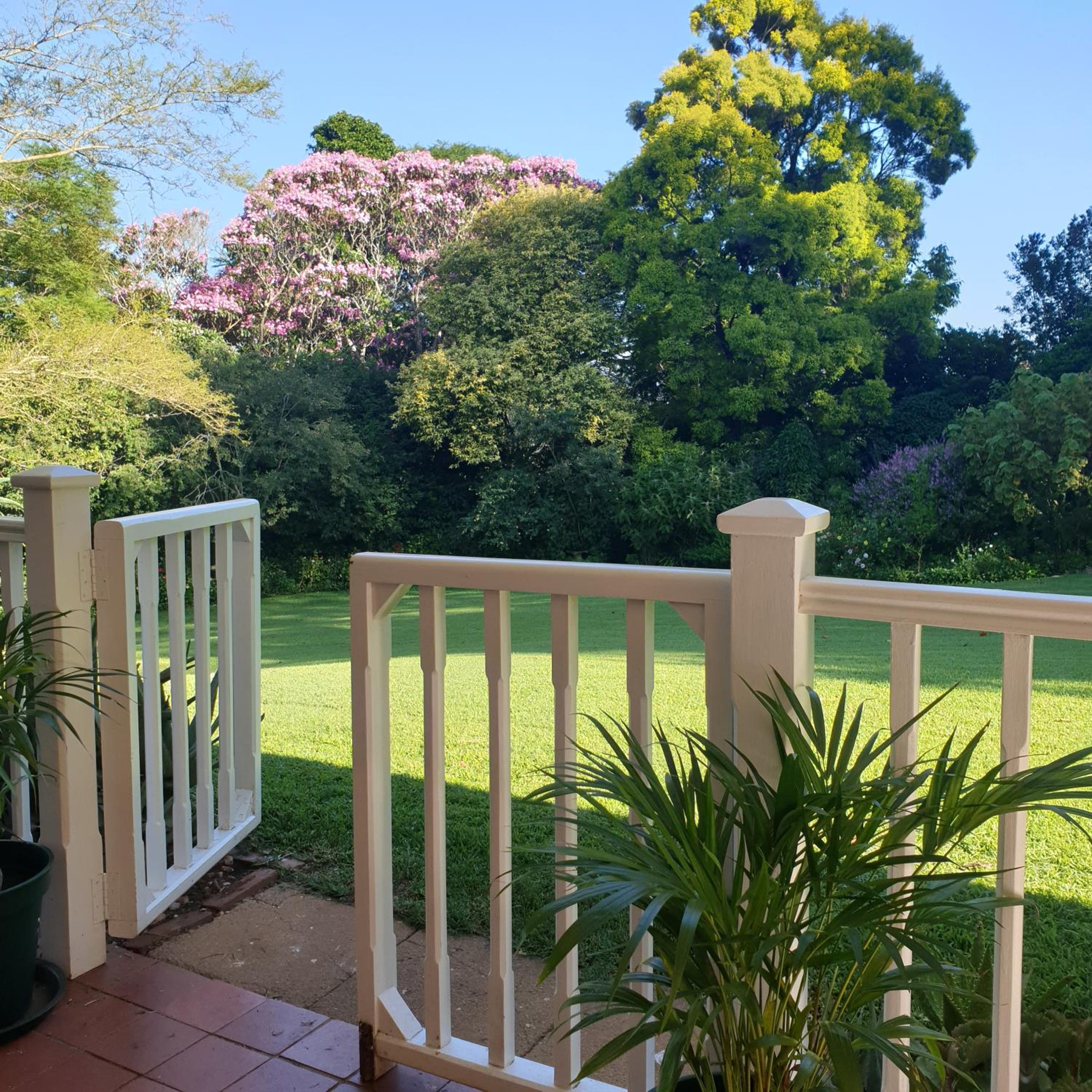 18 Pioneer BnB, photo 11