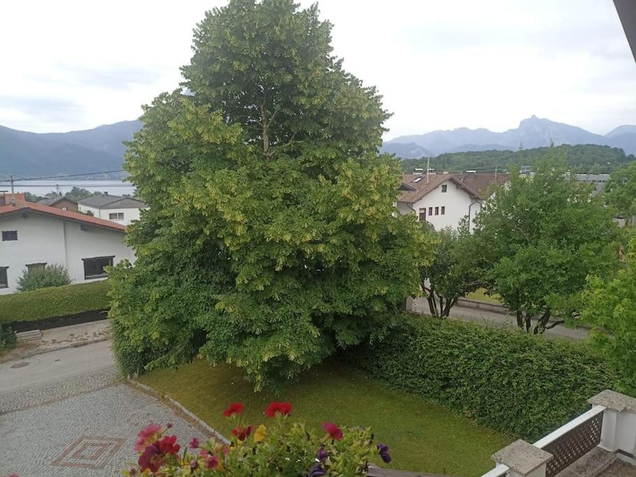Ferienwohnung Gütl am Weg