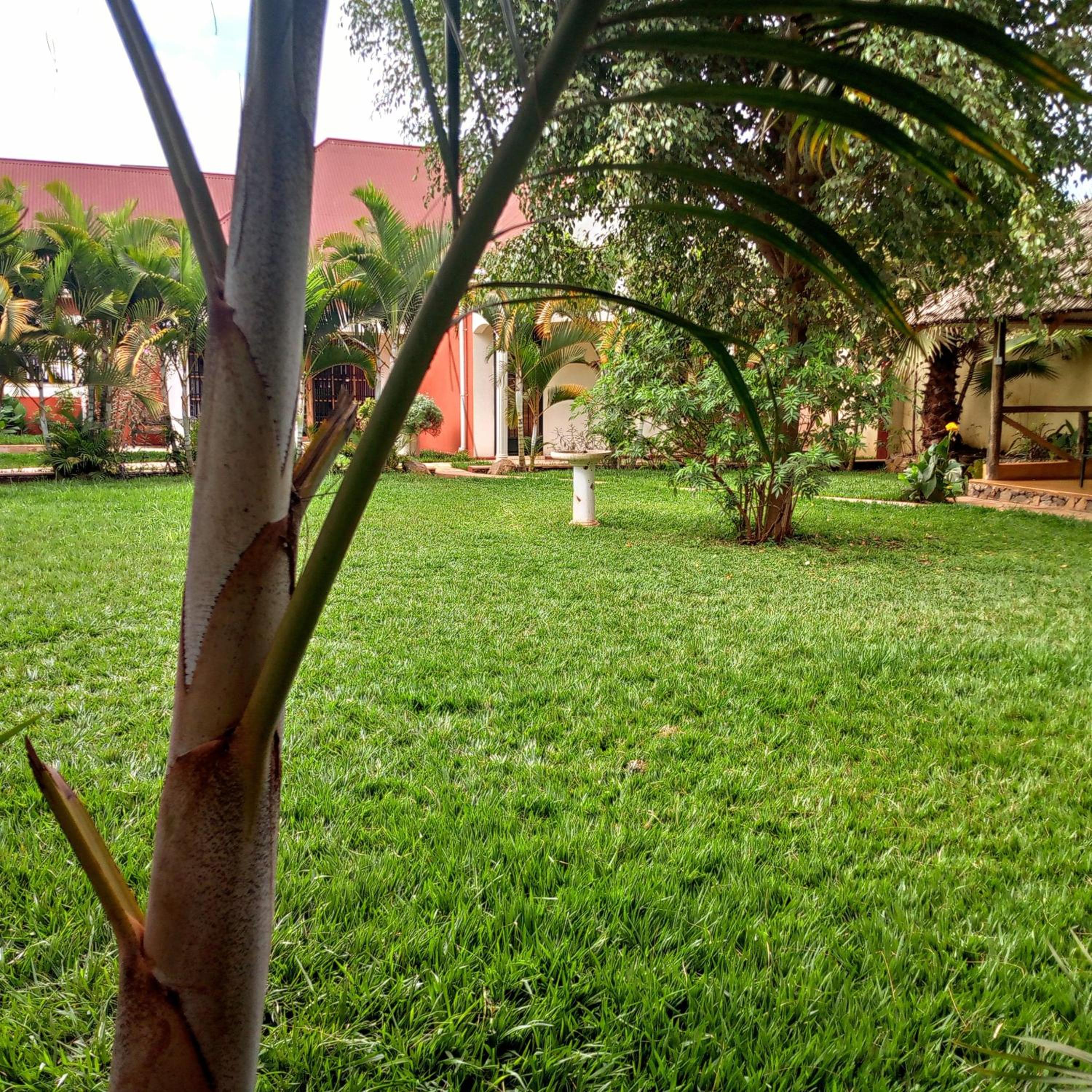 Photo 45