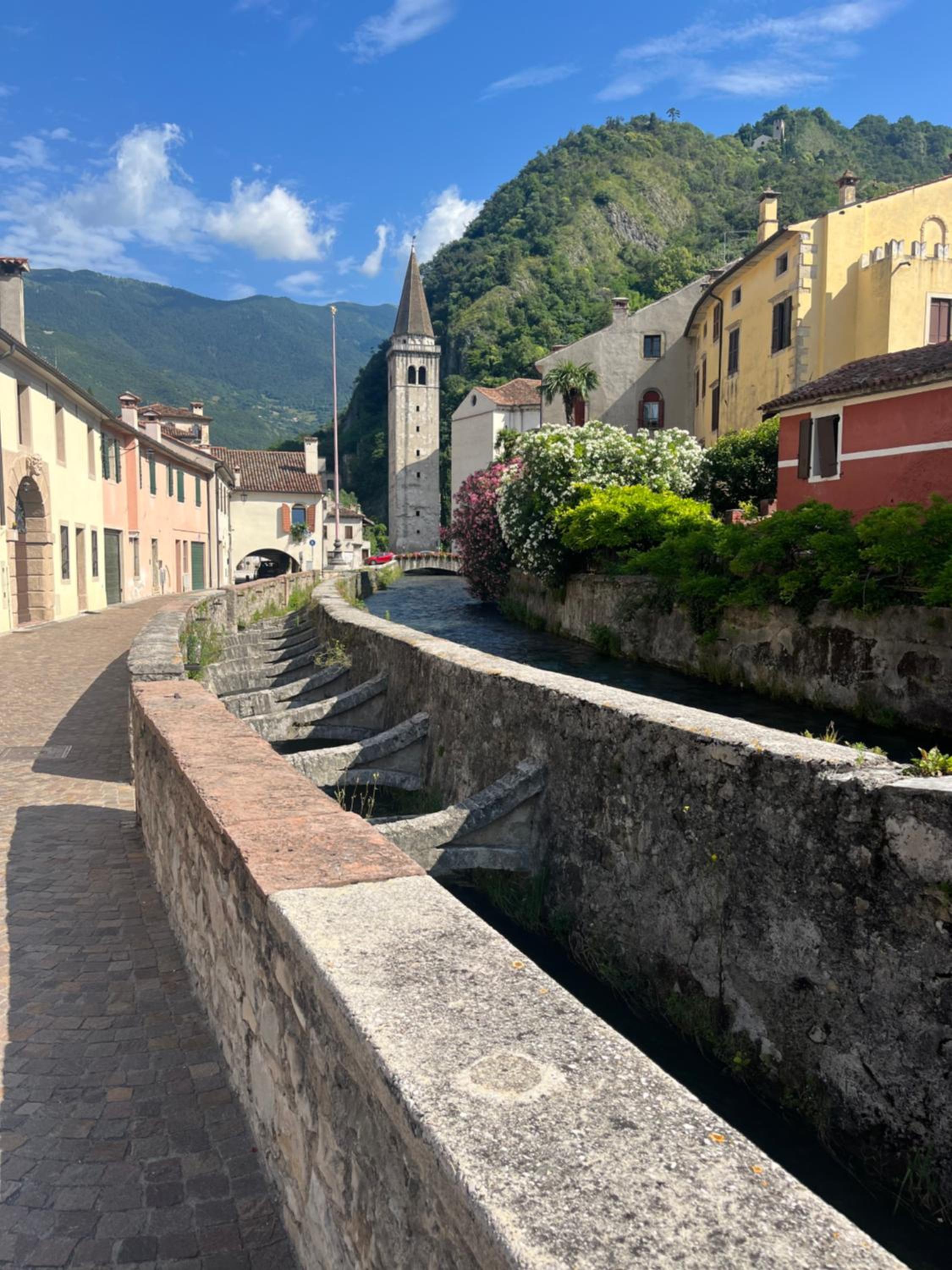 ALTRAVISTA TARZO