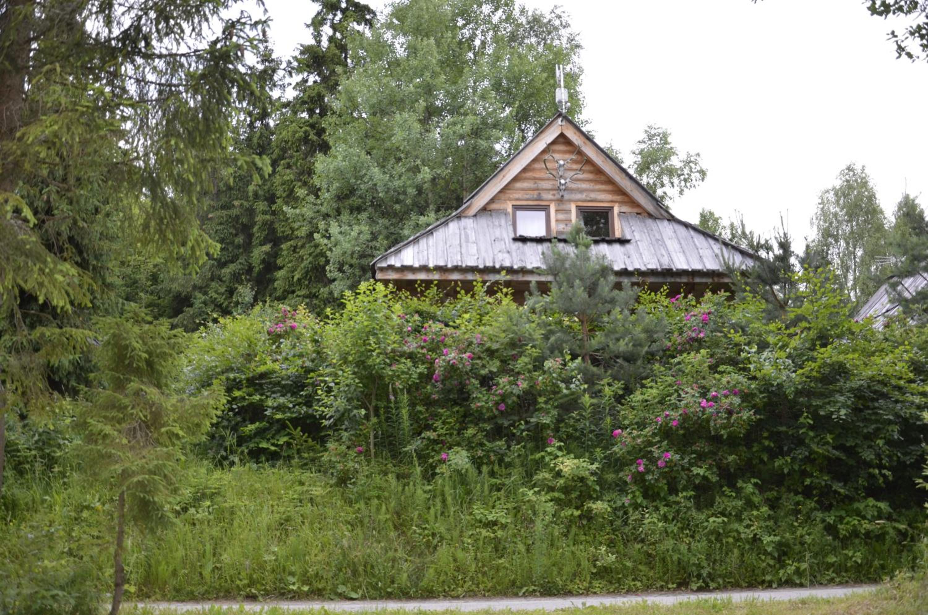 Photo 22