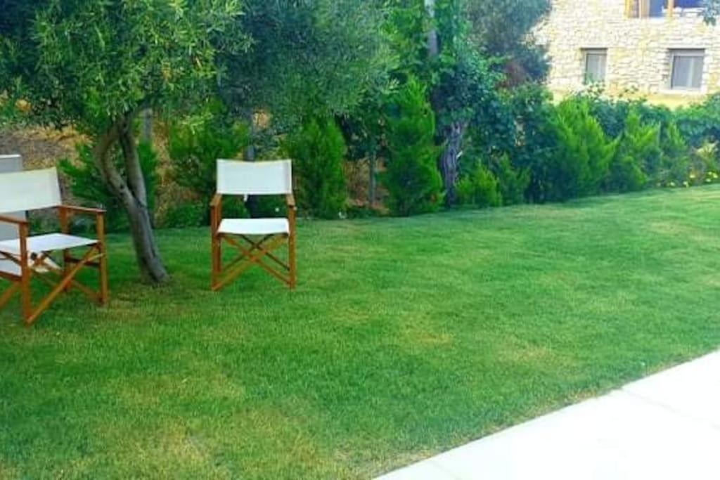 Photo 31