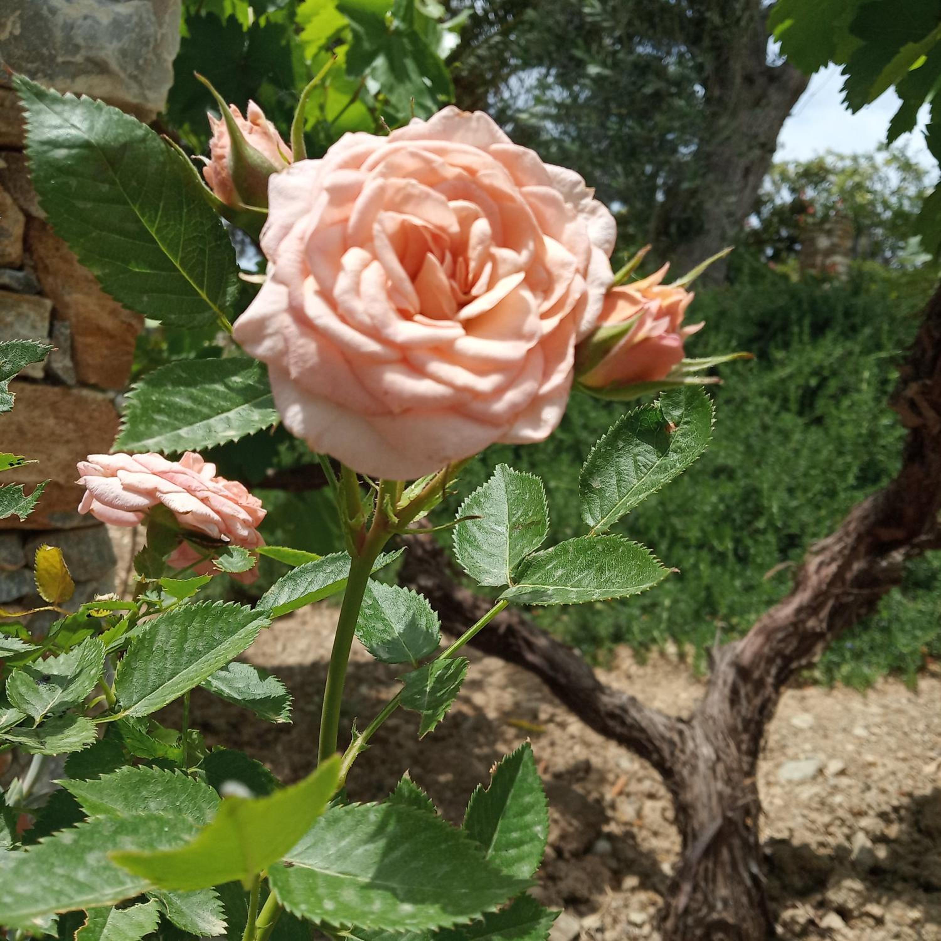 Photo 25