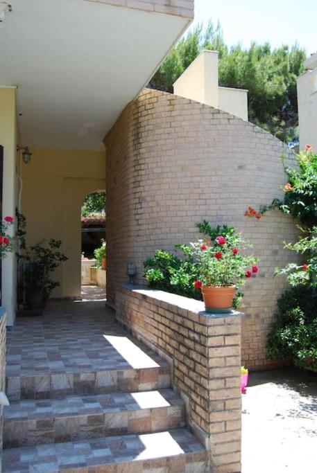 Luna Apartment, Rafina view 2