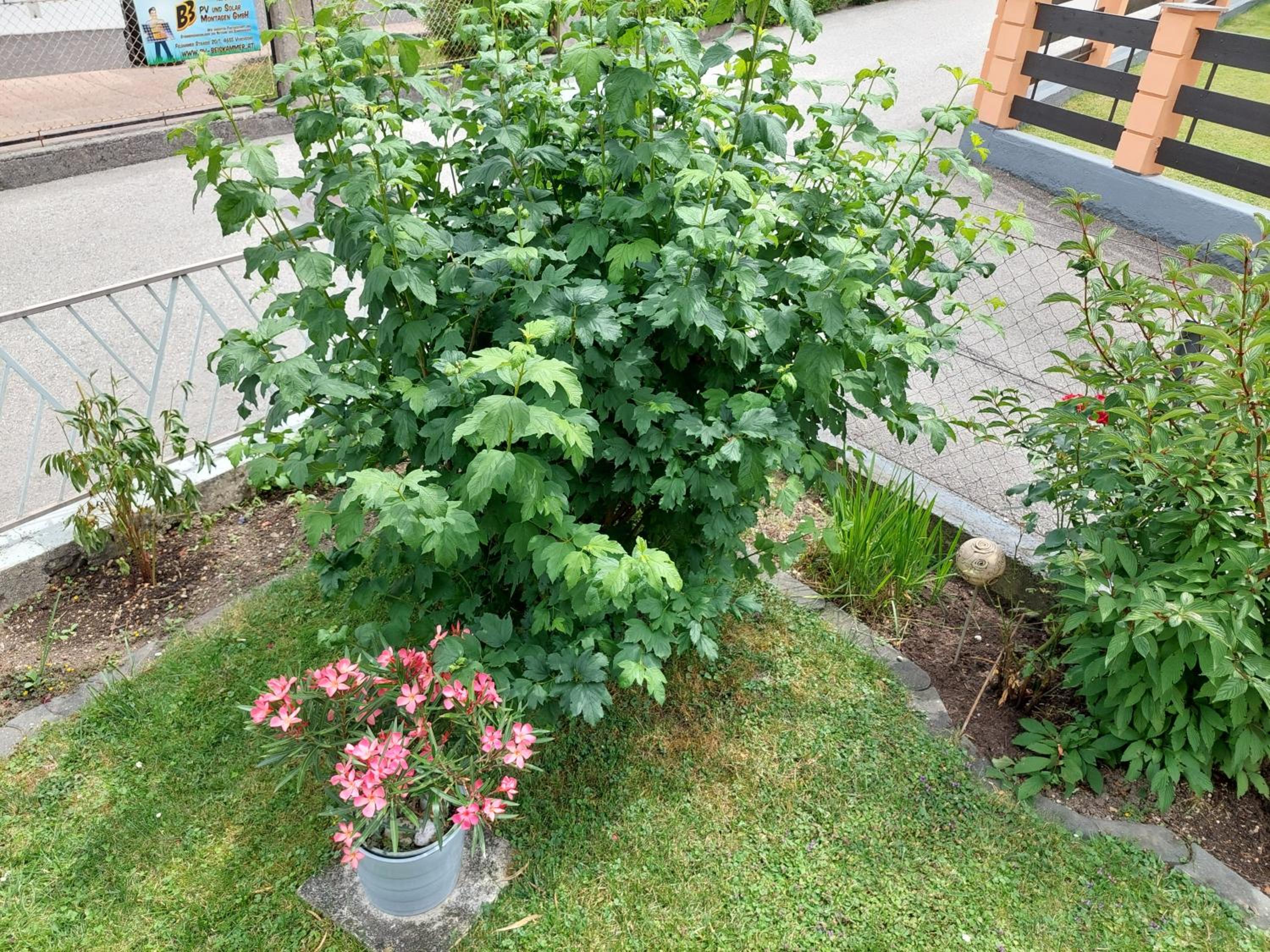 Wohnung mit Charme in Pinsdorf view 5