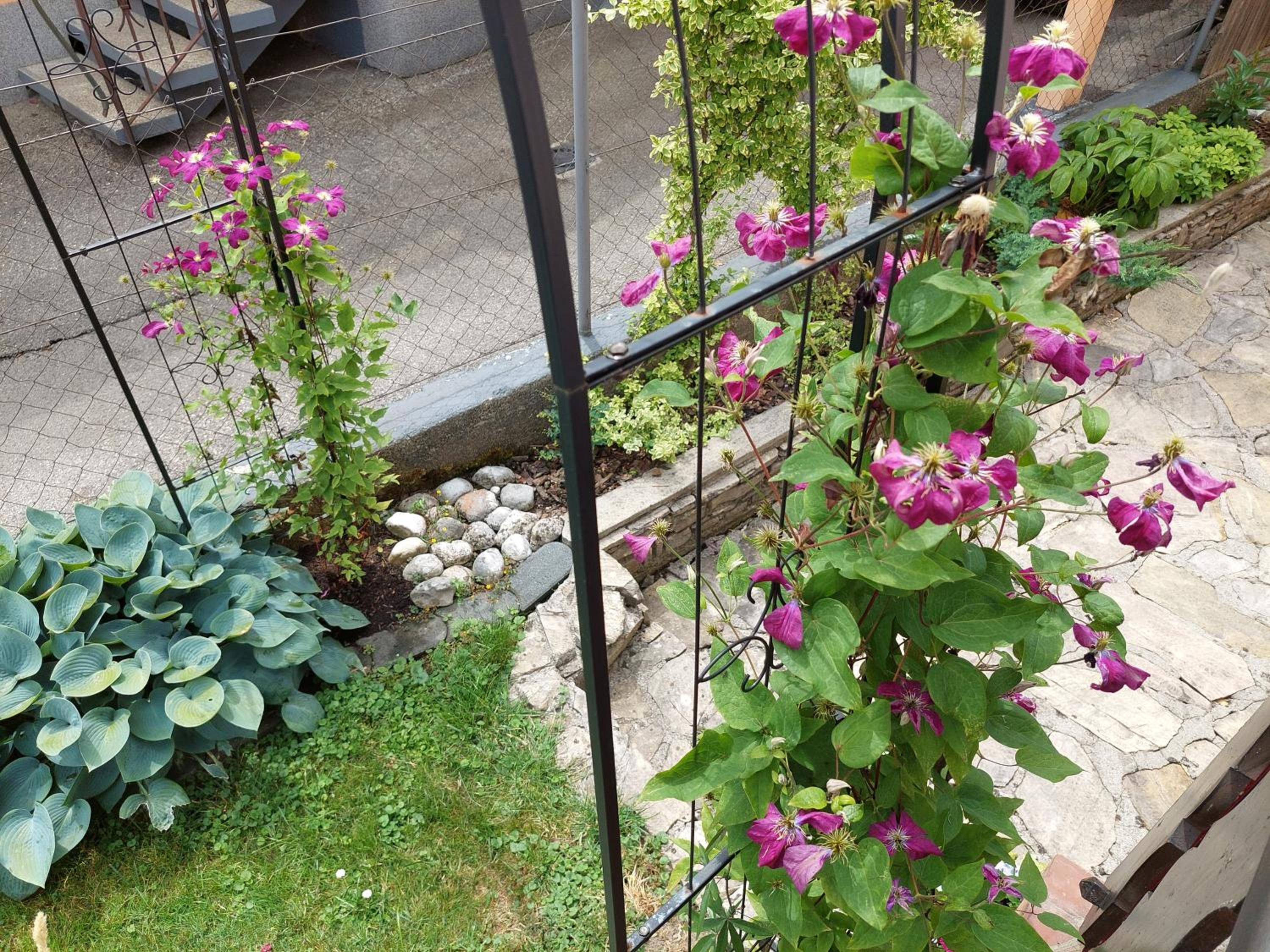 Photo 6