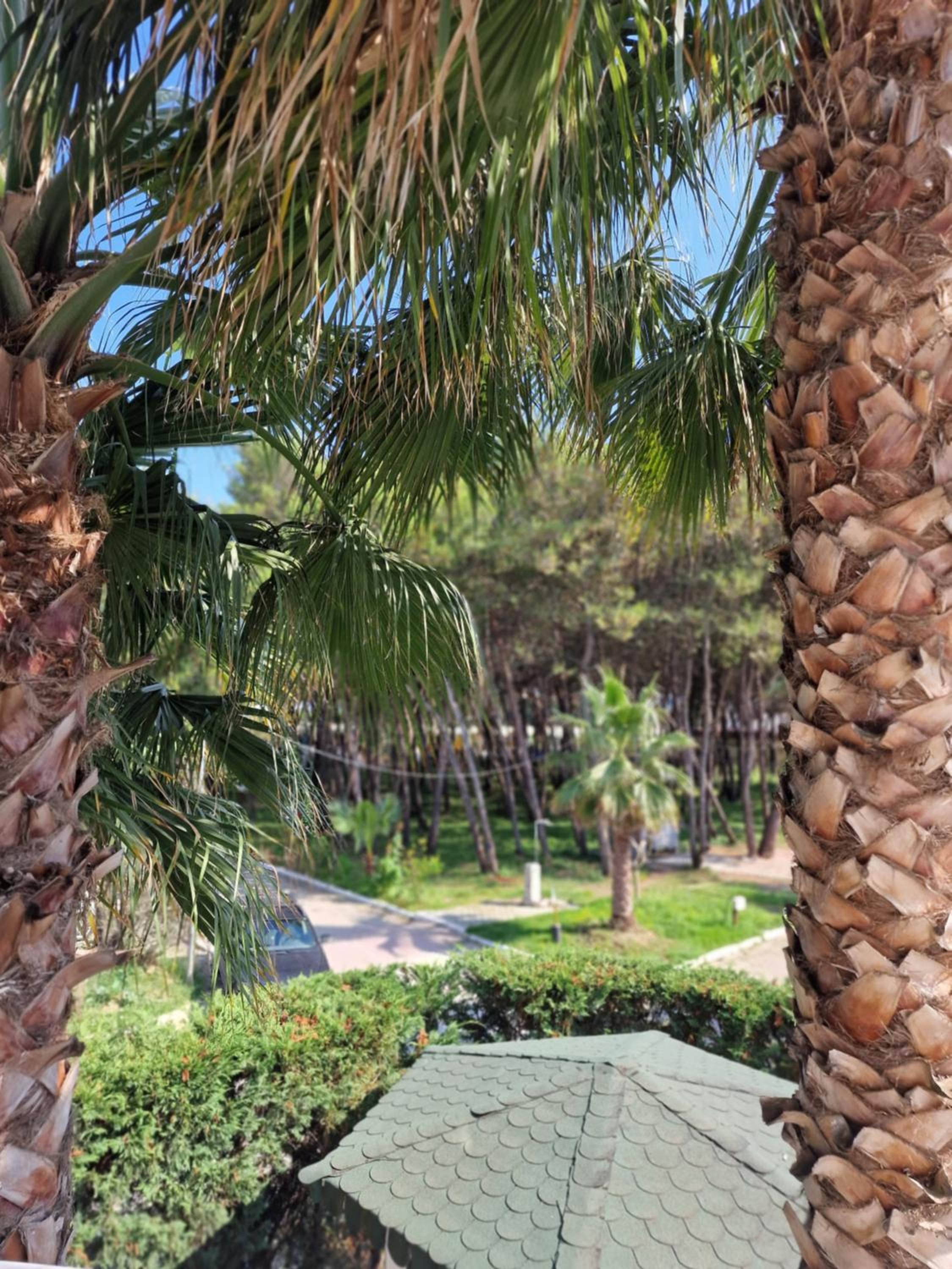 Villa Pearl Adriatic Coast 1