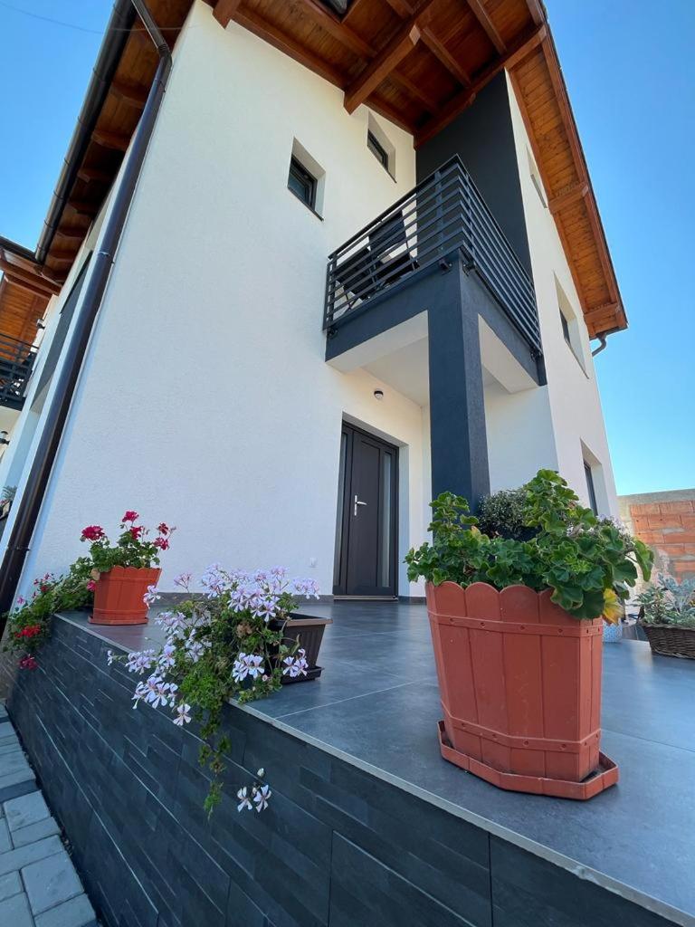 Casa Lucia