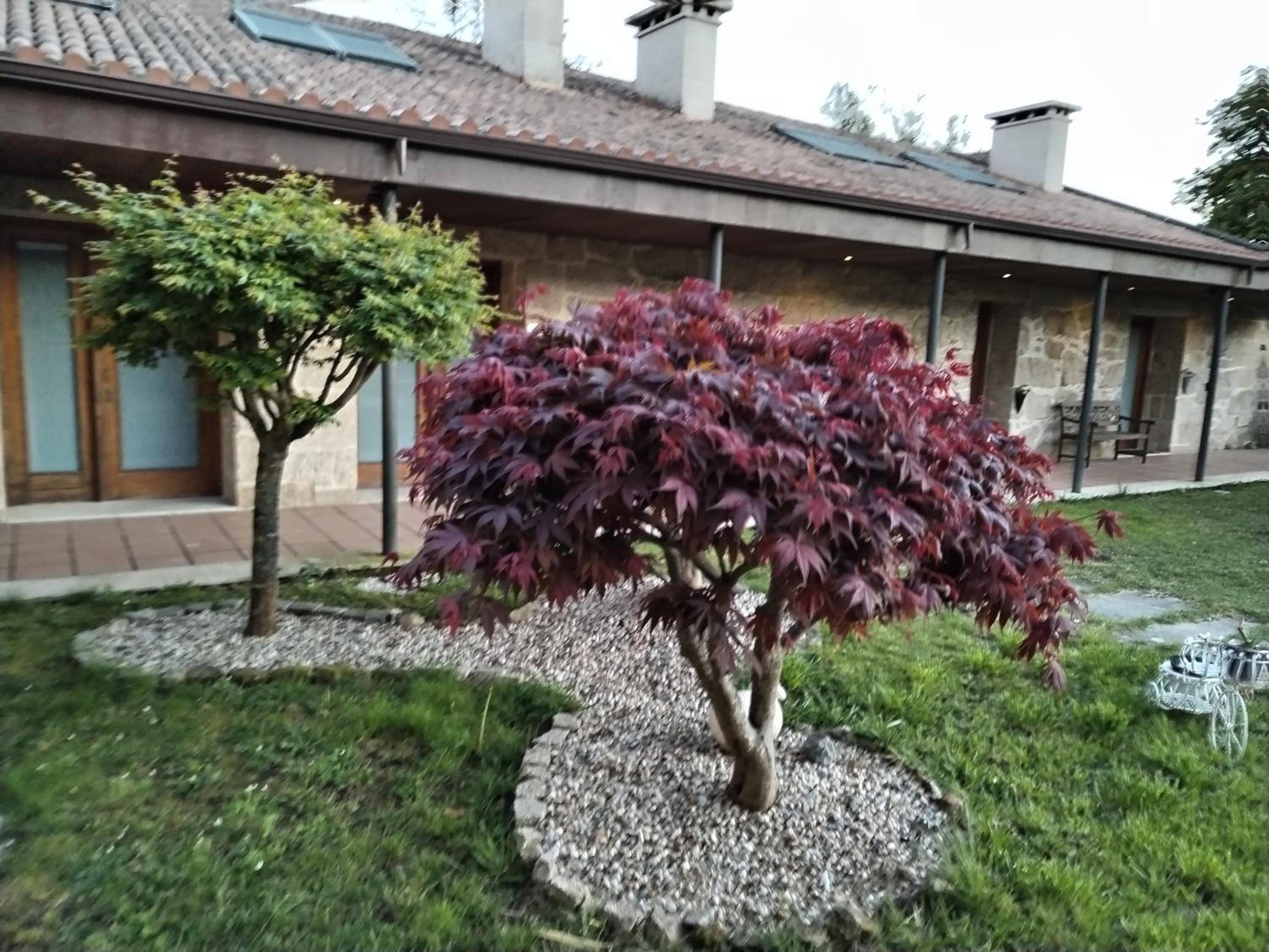Apartamentos Rias Baixas