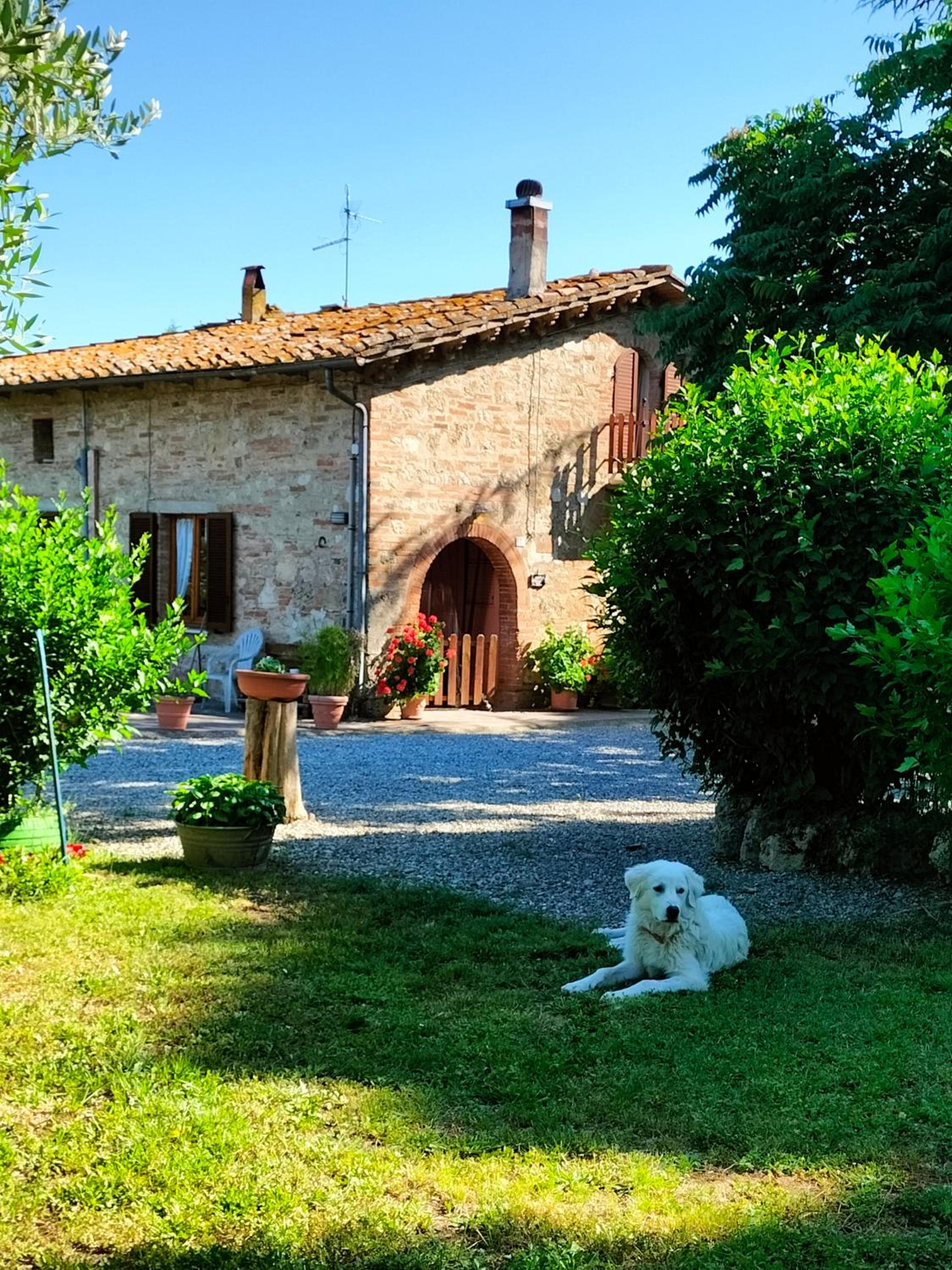 L'oca Nera view 4