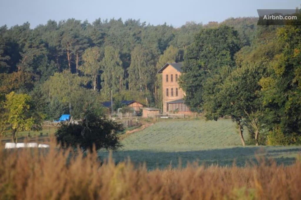 Landbahnhof Buschhof 2 OG mit Gartensauna