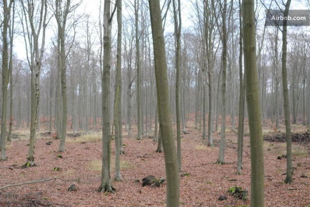 Landbahnhof Buschhof 2 OG mit Gartensauna