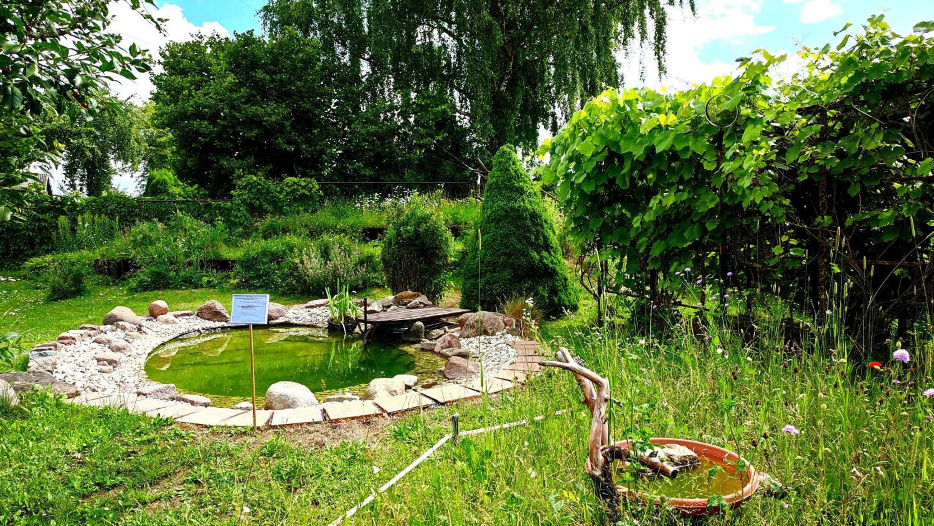Photo 40