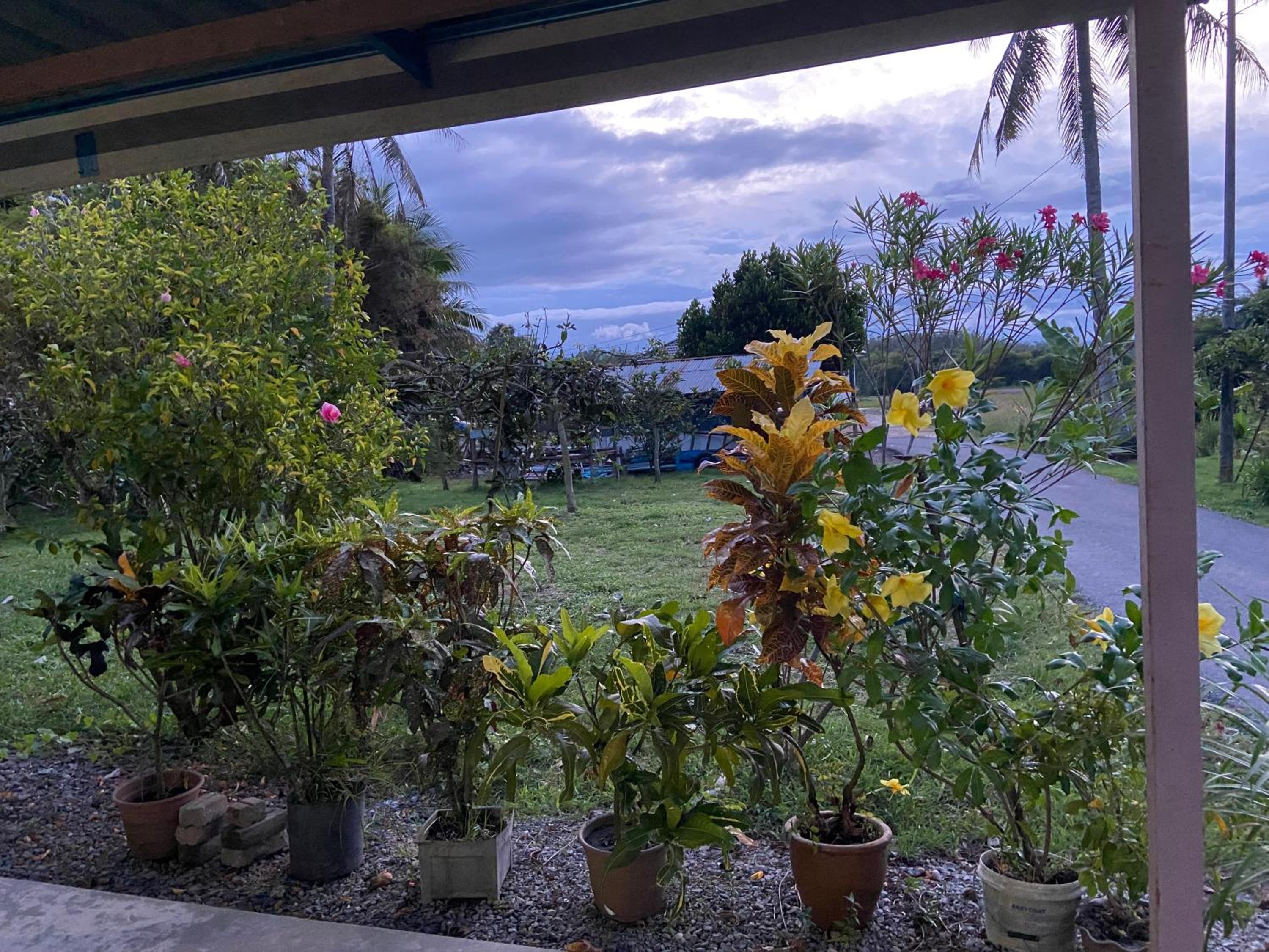 Aisyah Homestay Arau