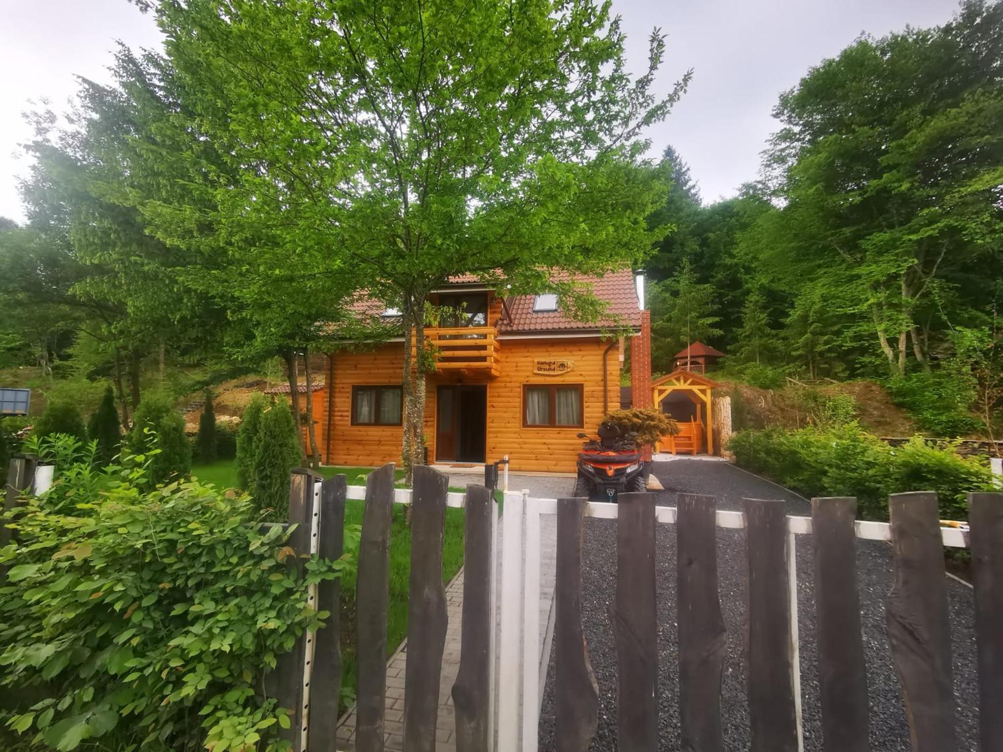 Bear's Lair Chalet view 3
