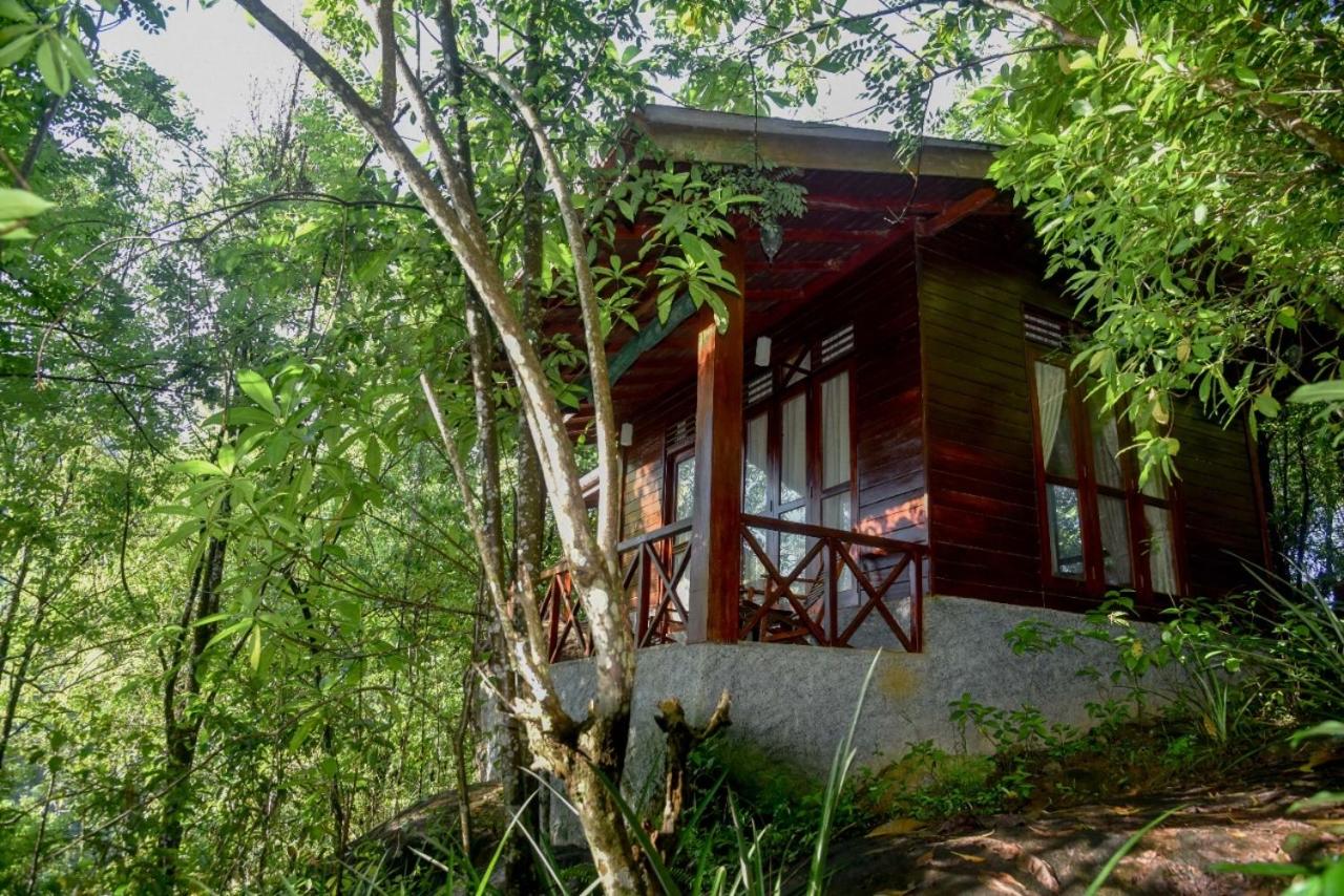 Mossy Forest Chalets