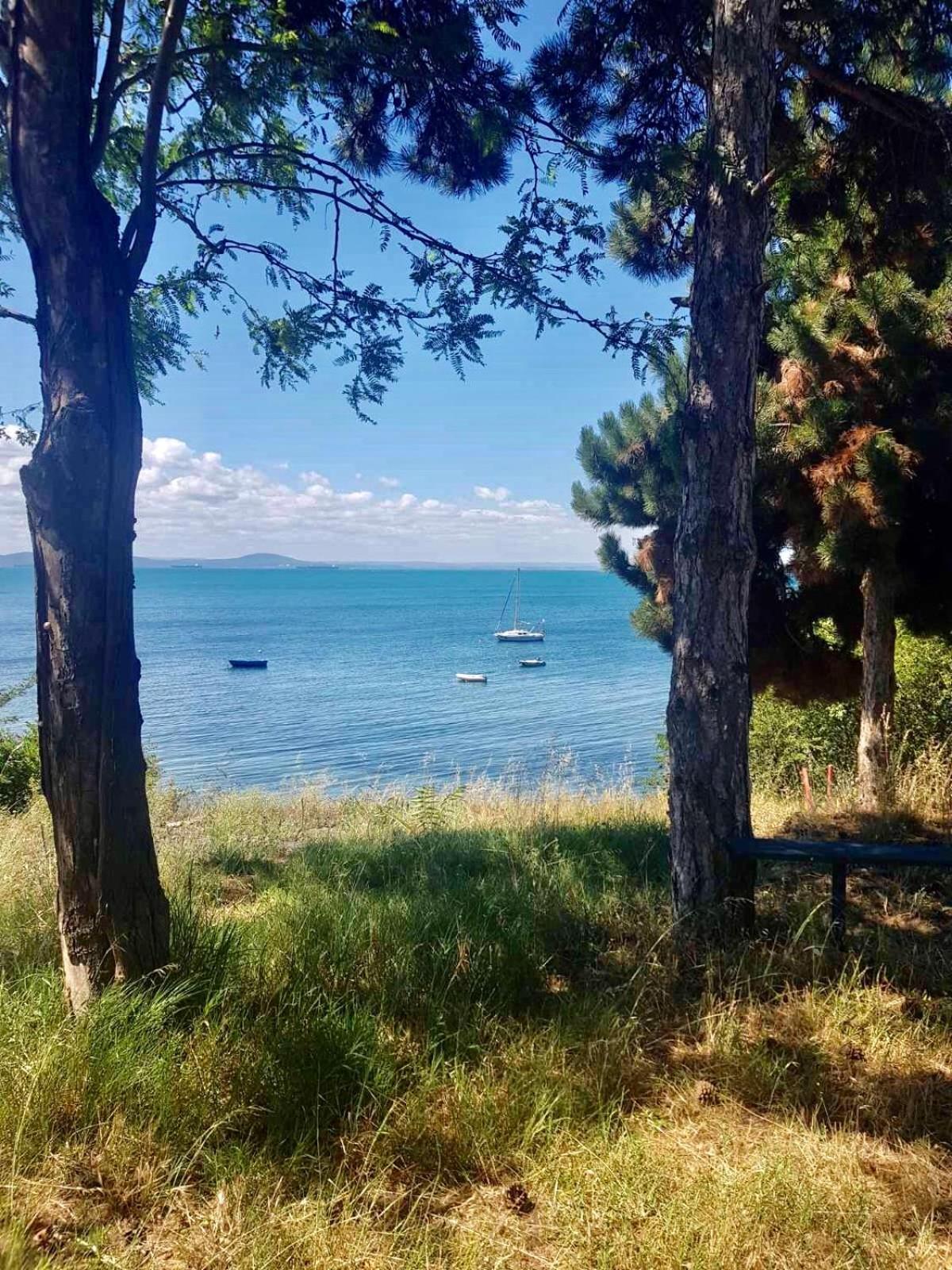 Budget First Sea Line Apt. FLORA