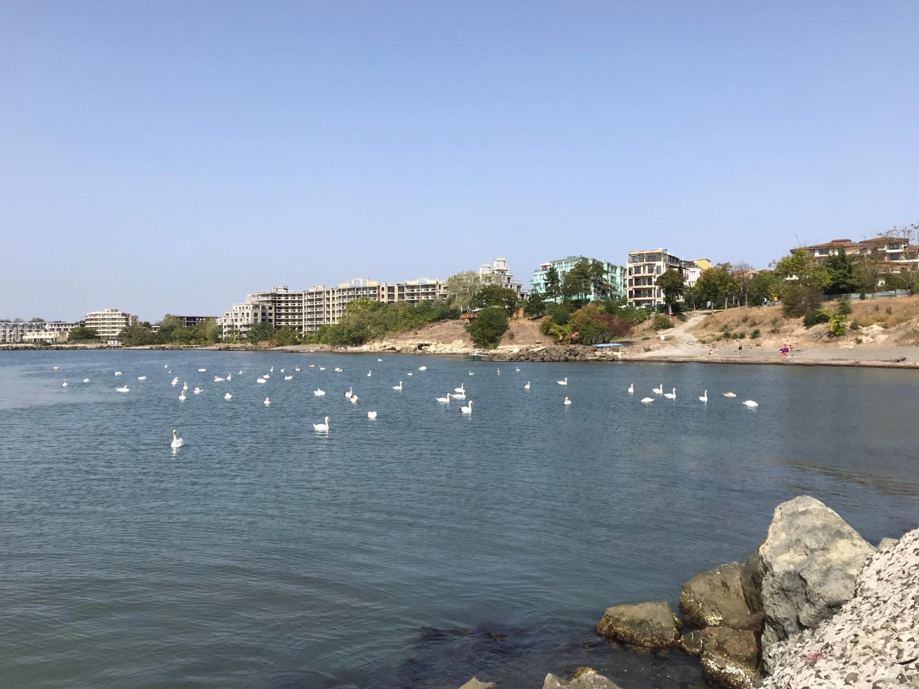 Budget First Sea Line Apt. FLORA