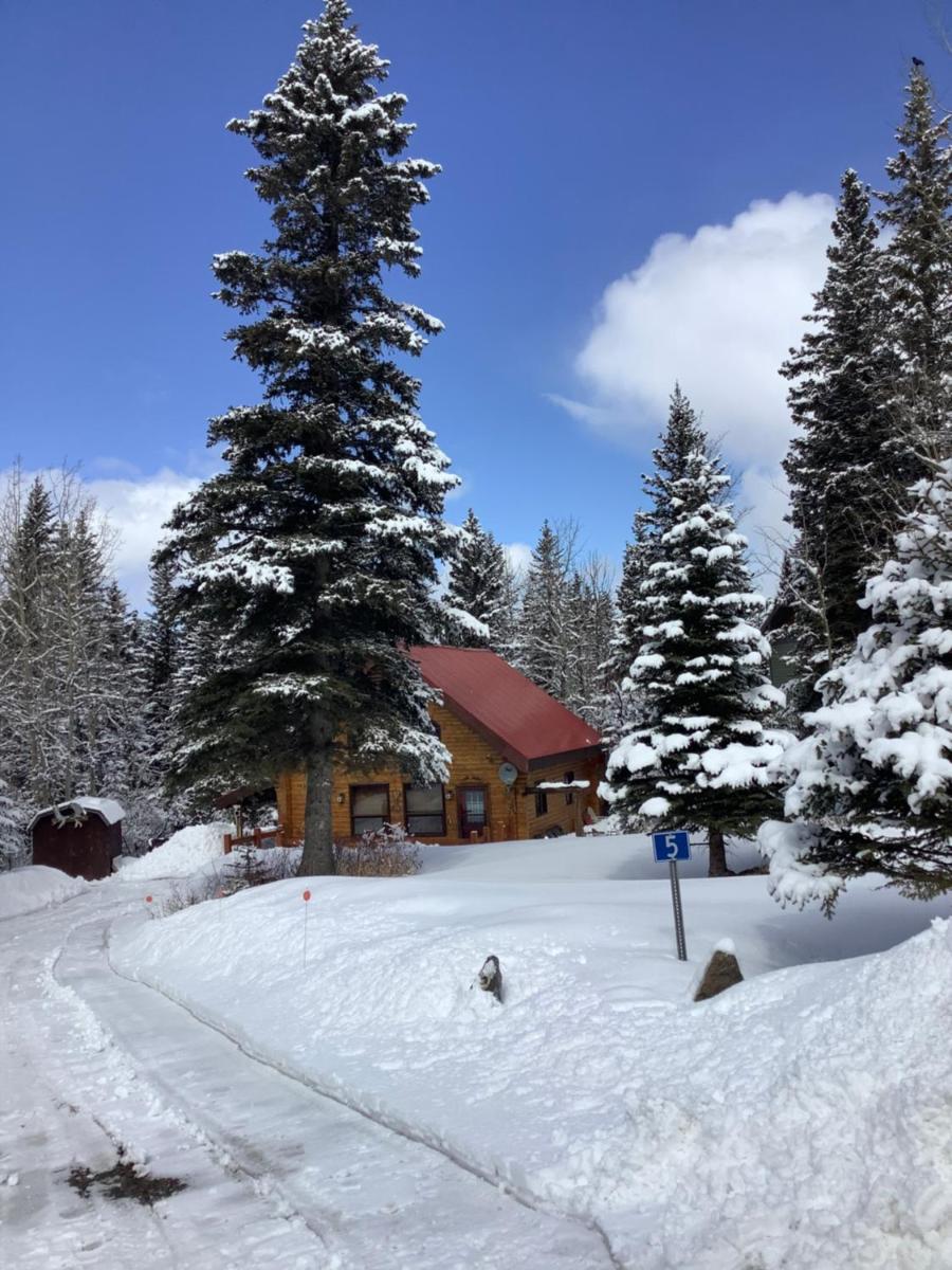 The Gingerbread Cabin