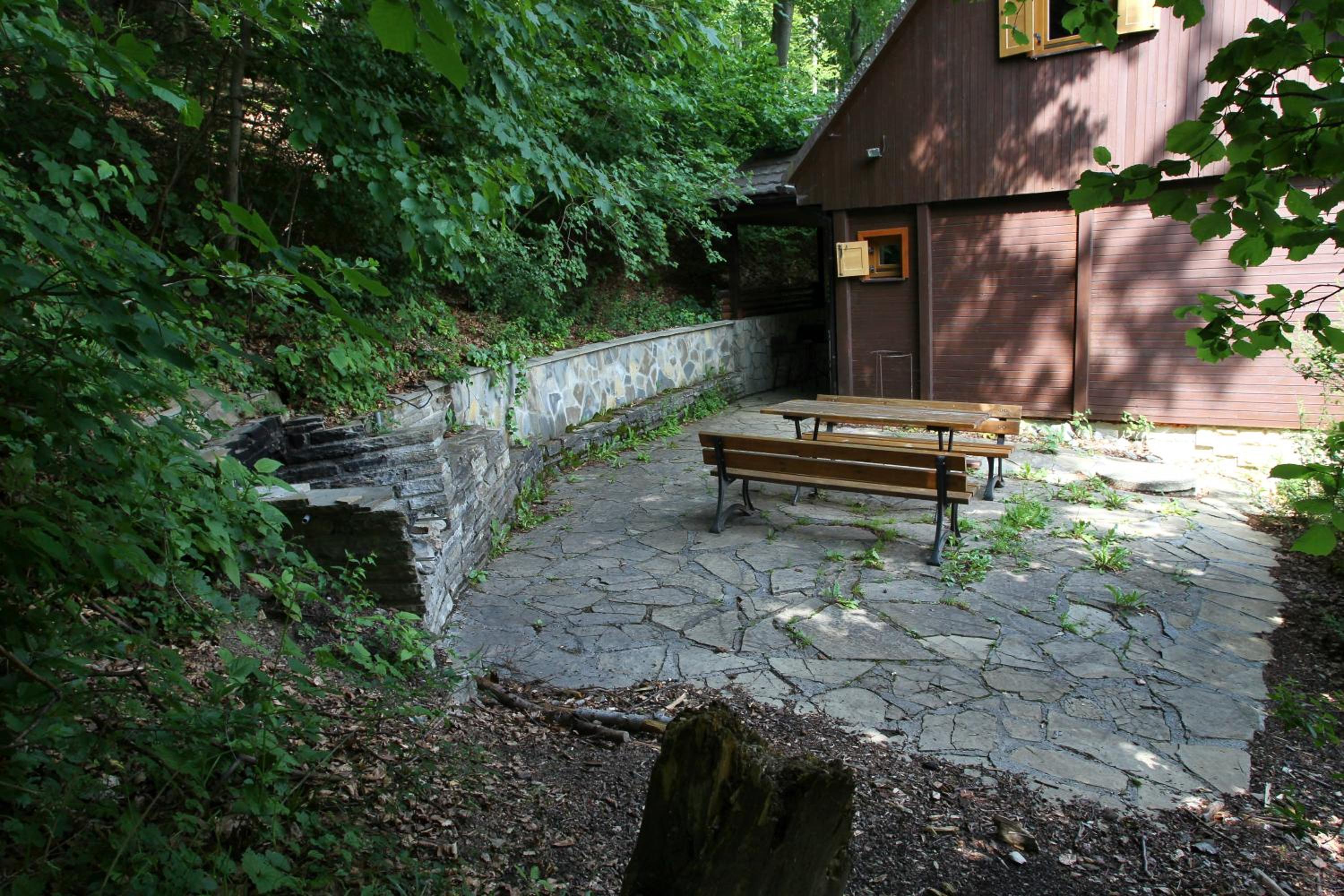 Photo 35