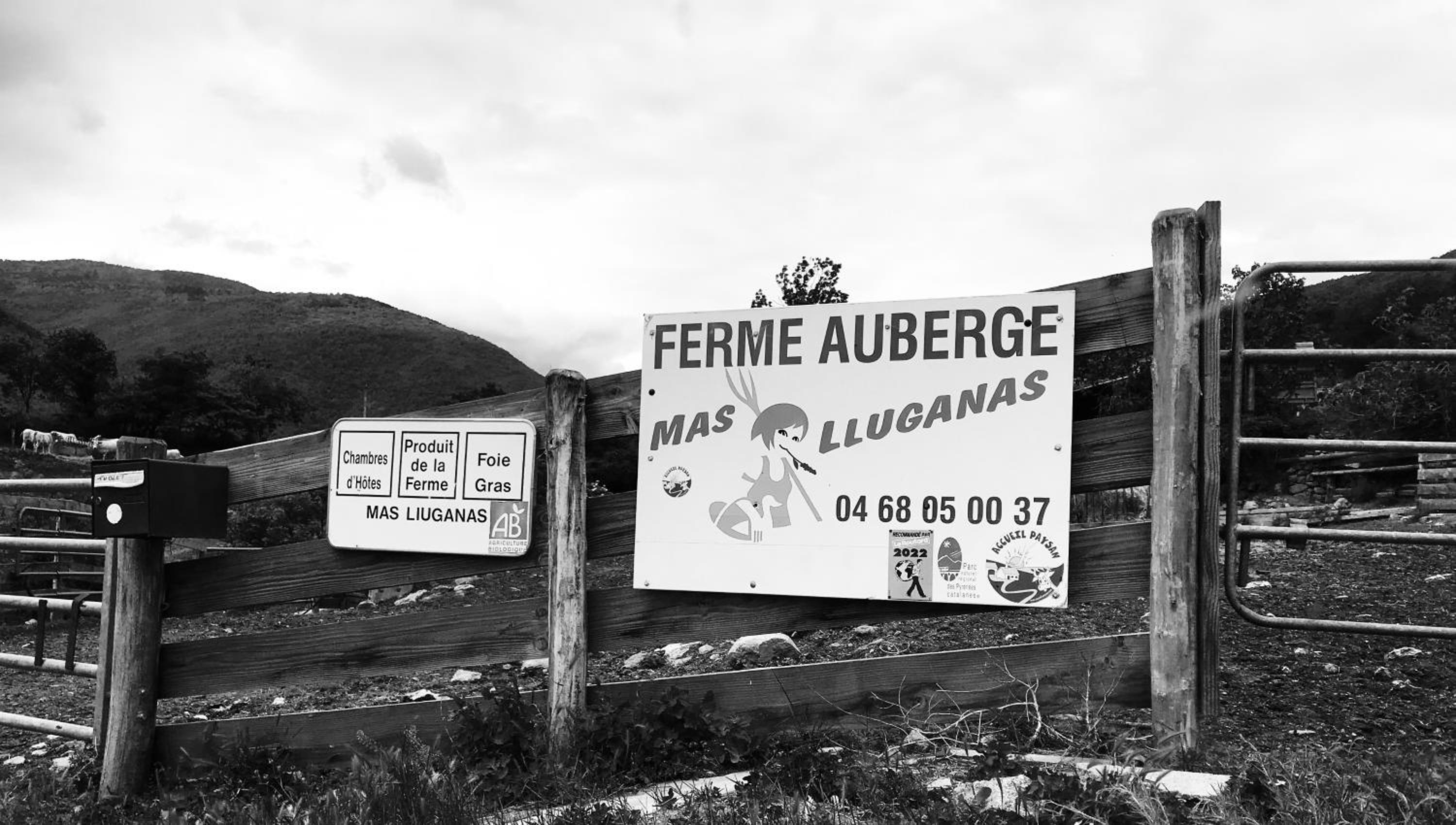Mas Lluganas view 2