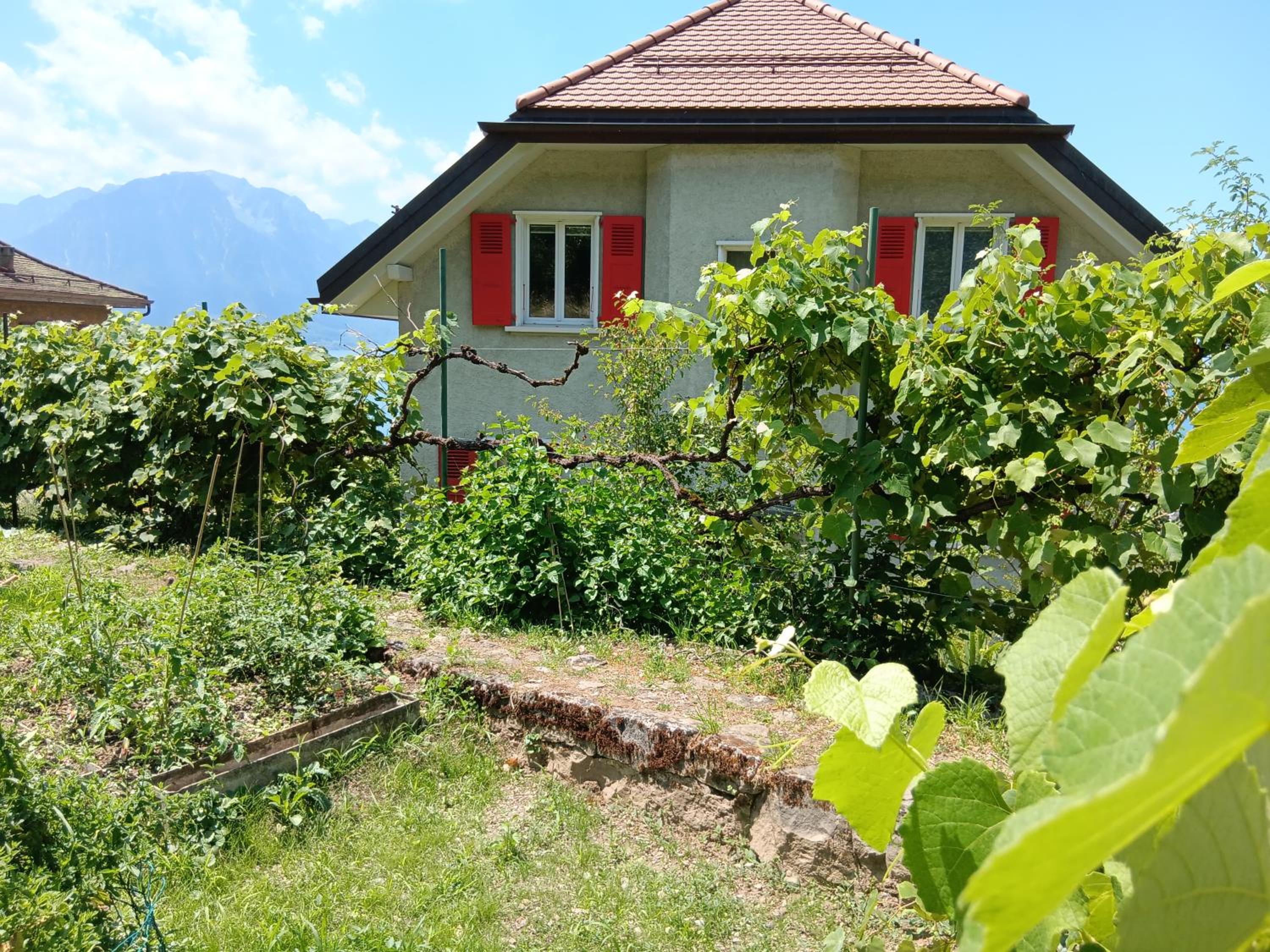 La plus belle vue du lac Léman