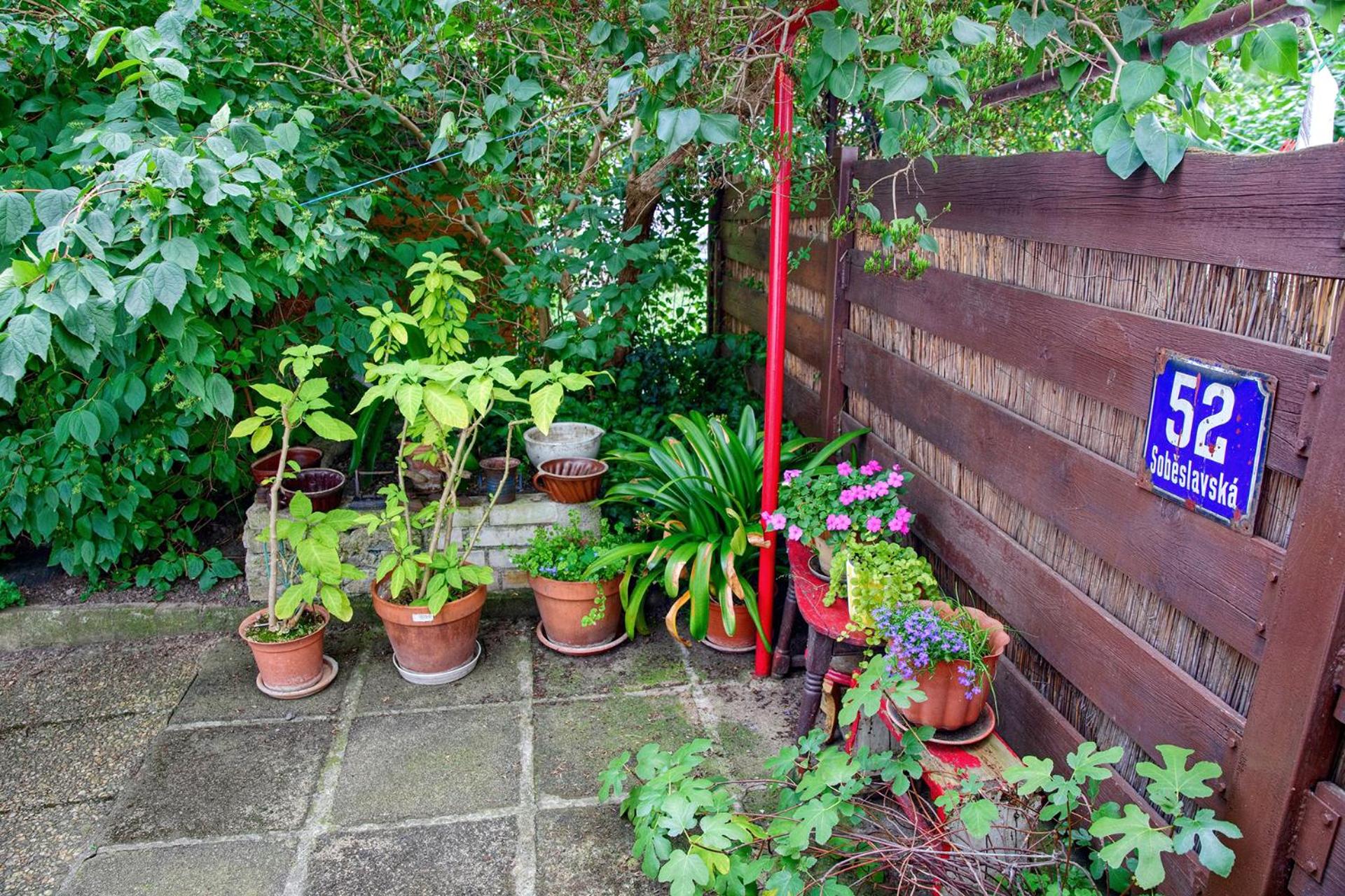 Garden in the city