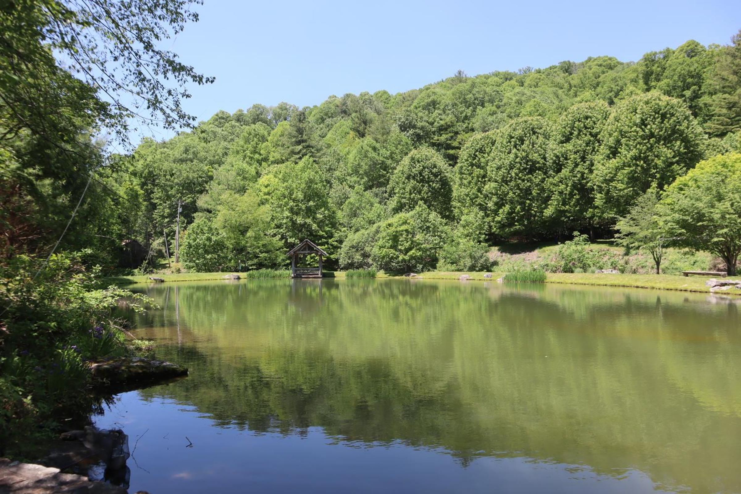 Timber Ridge Retreat