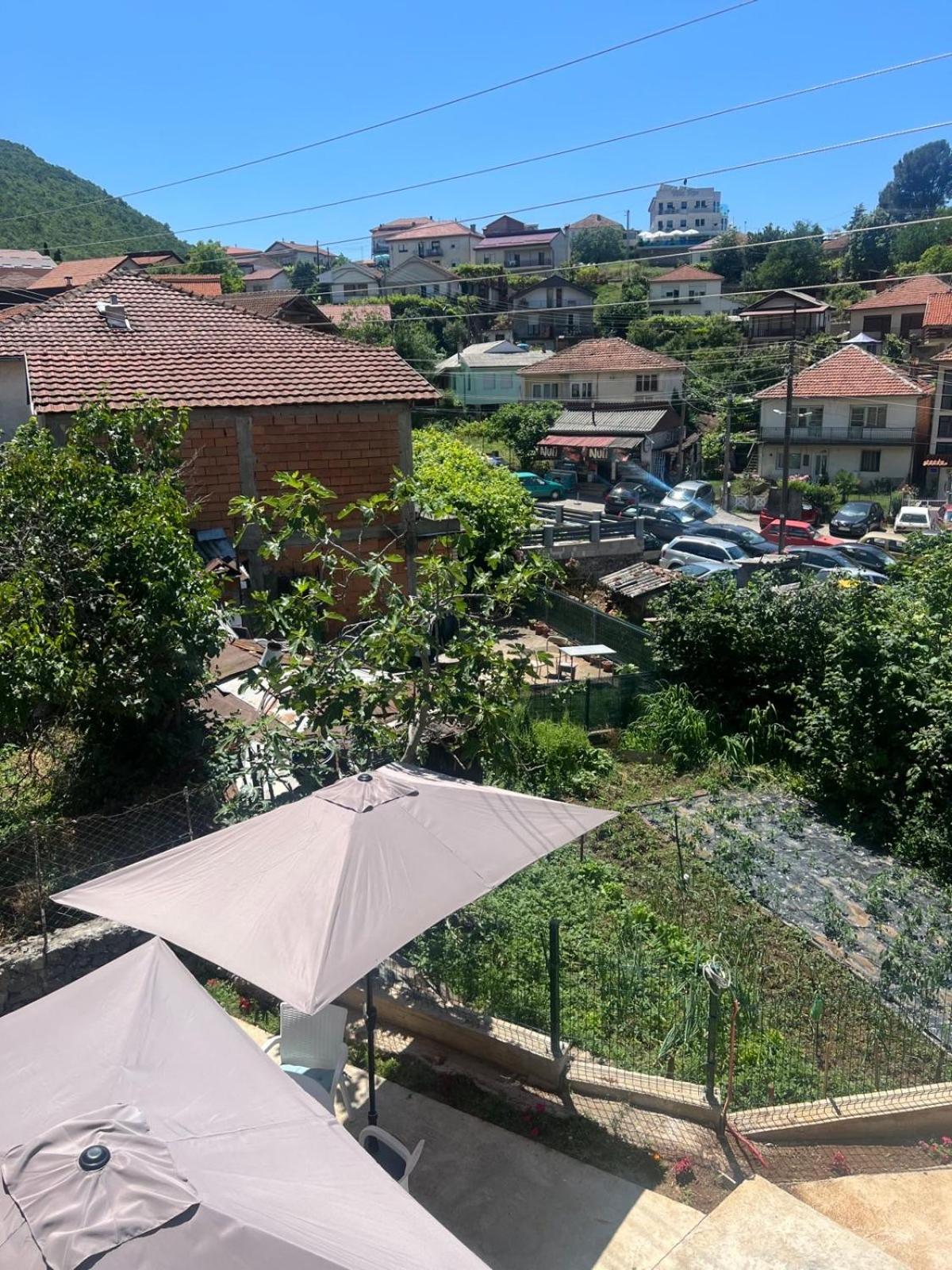 Photo 82
