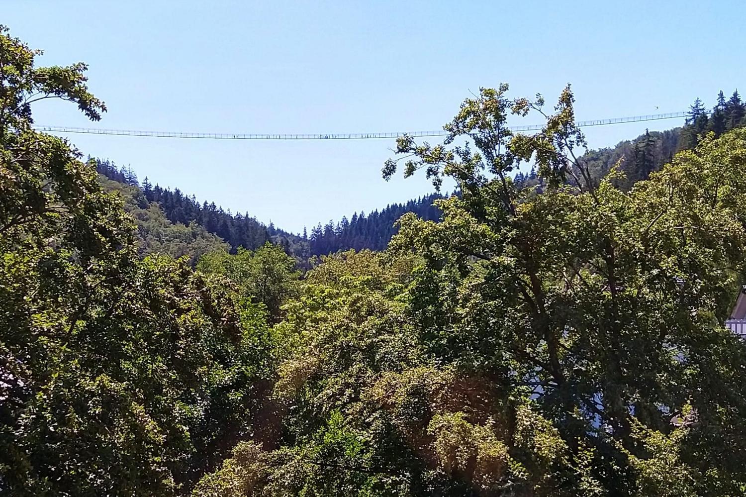 Komfort-Fewo SKYWALK-BLICK mit MeineCardPlus view 4