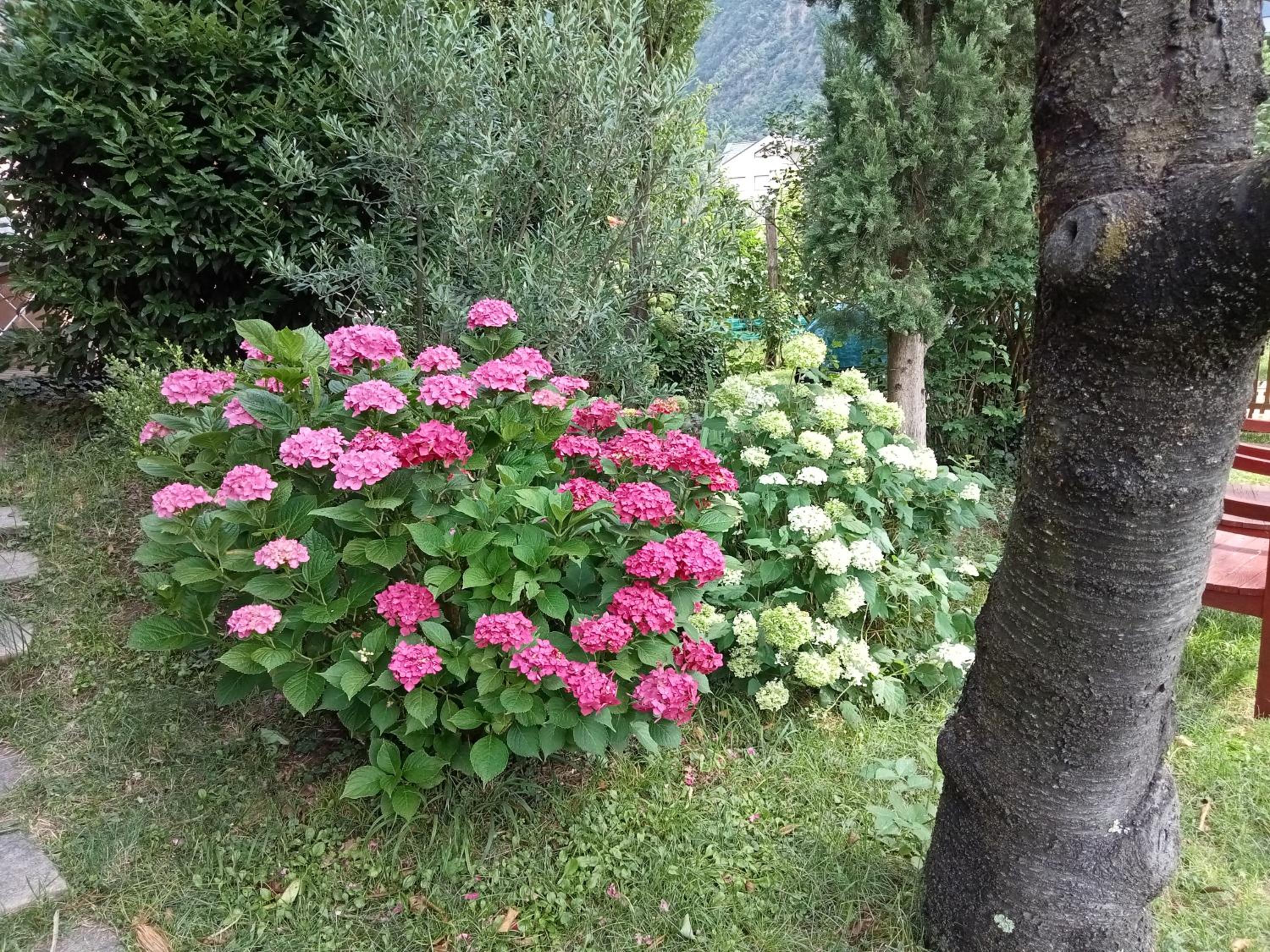 Photo 38