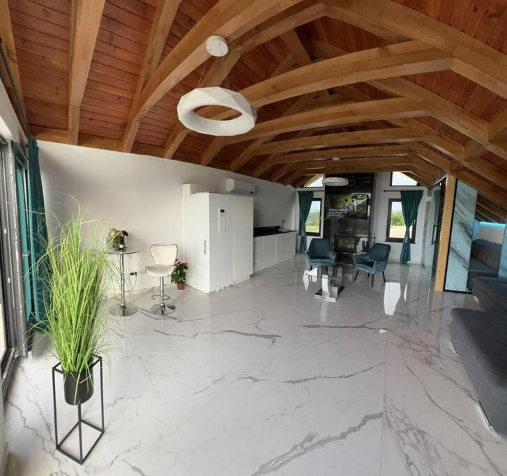 Casa moderna in Sinteu - intersectia intre modern si linistea naturii