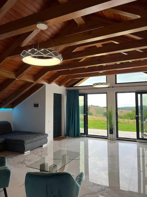 Casa moderna in Sinteu - intersectia intre modern si linistea naturii