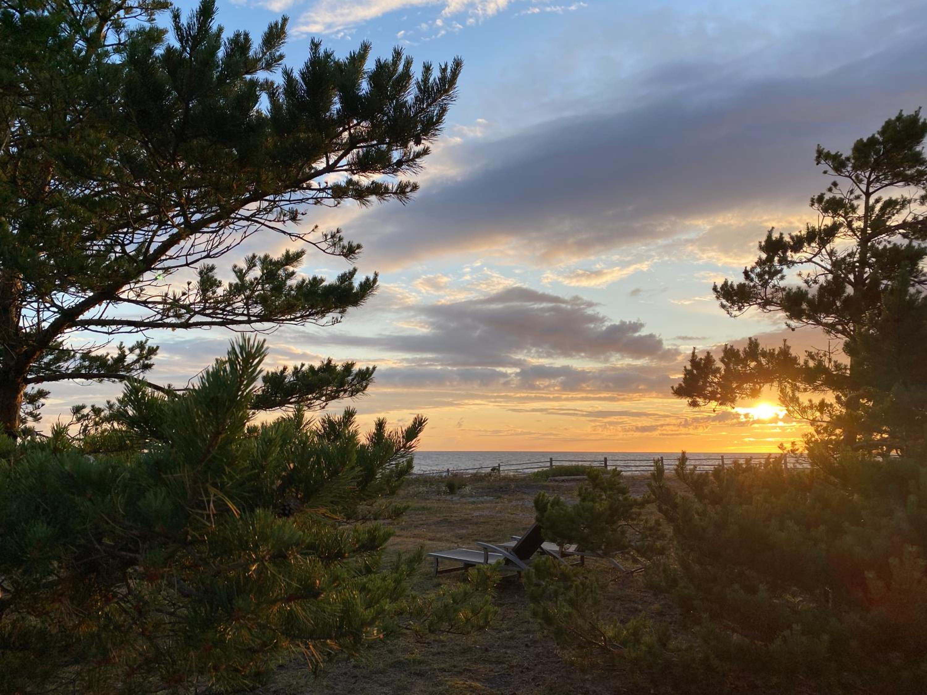 Seaside Rendezvous