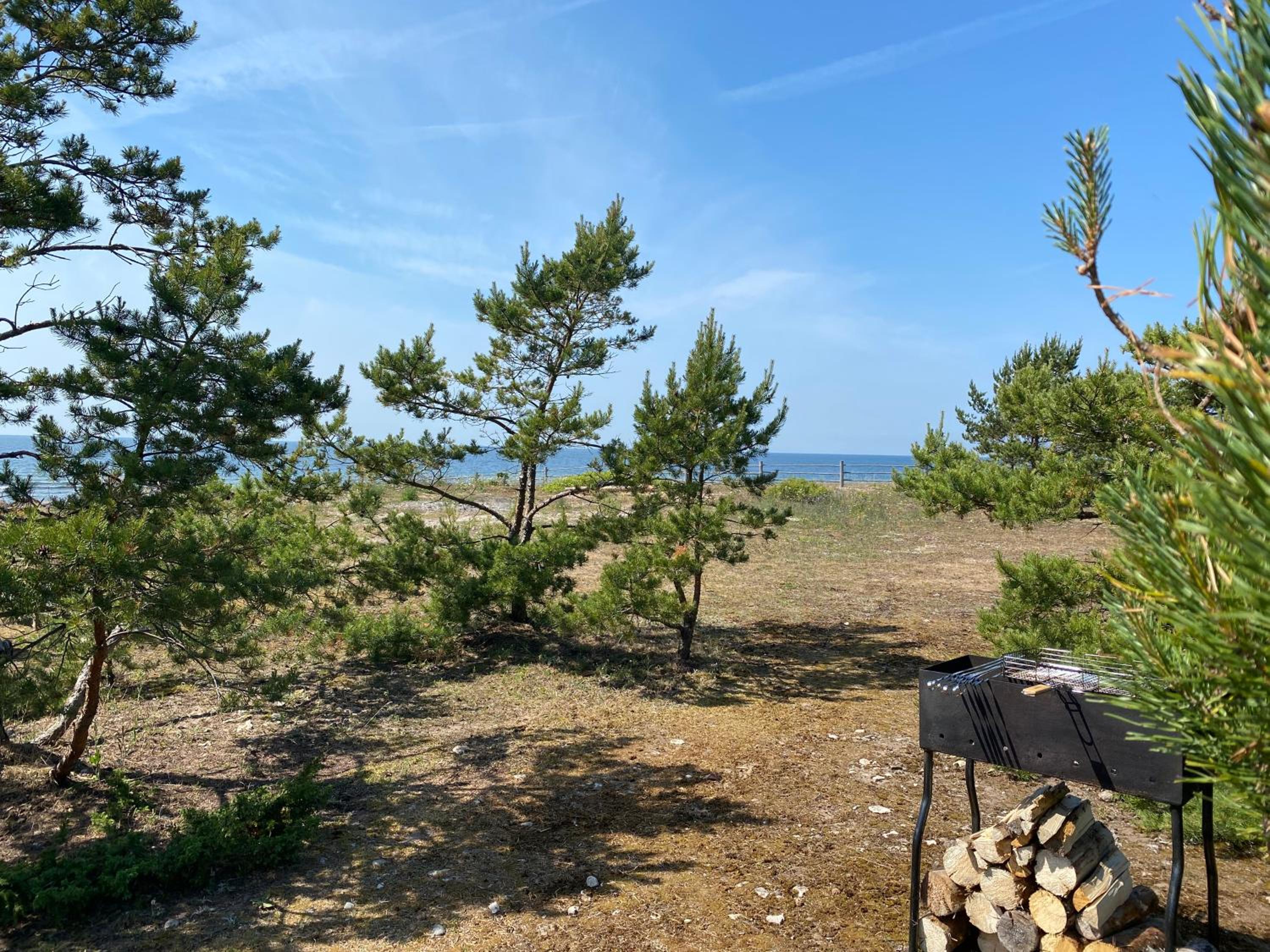 Seaside Rendezvous