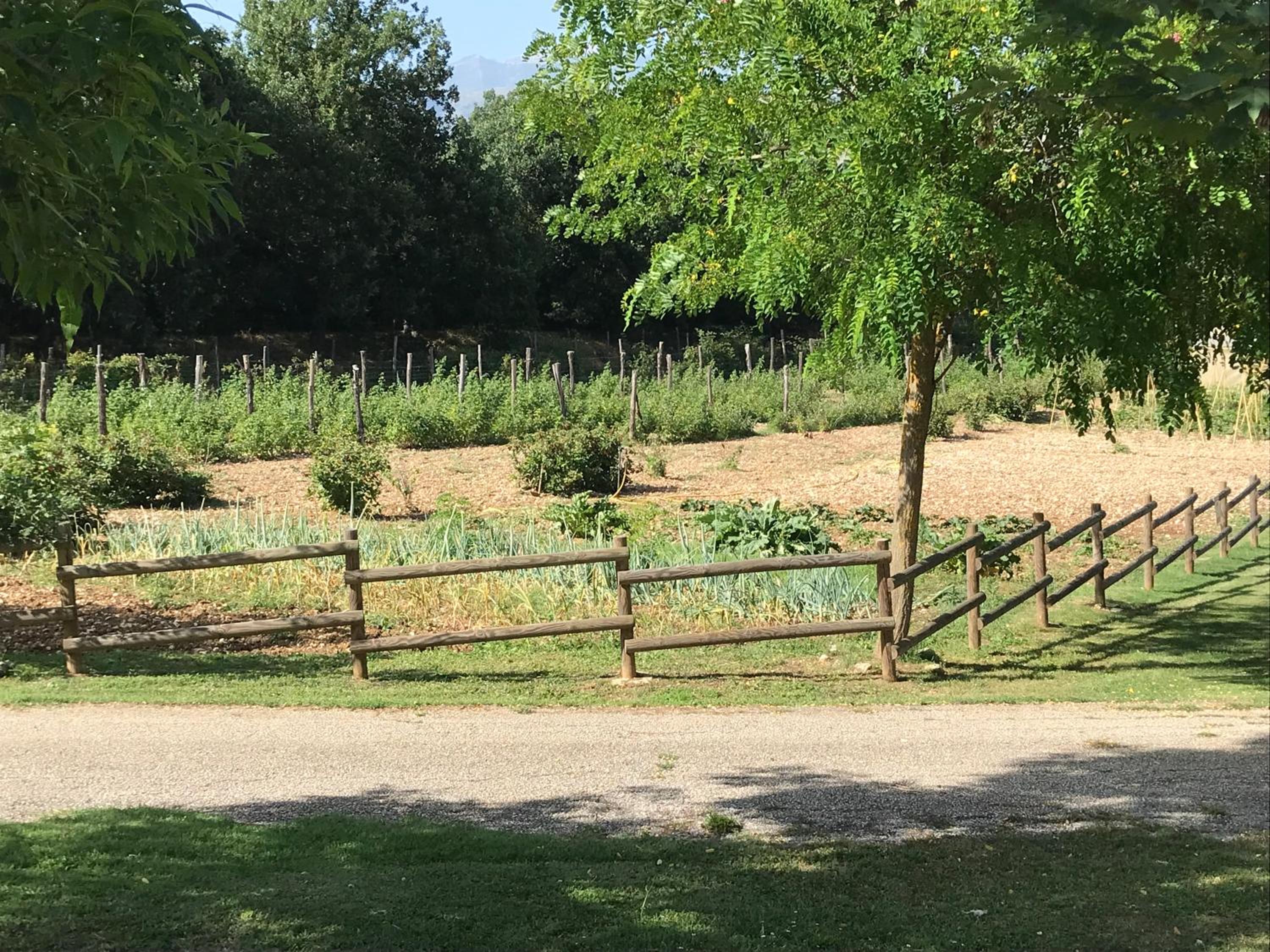 Fattoria Antica Forconia