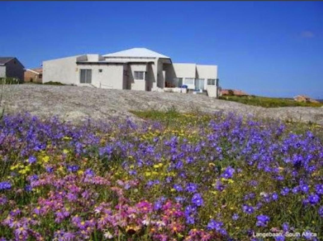 Photo 34