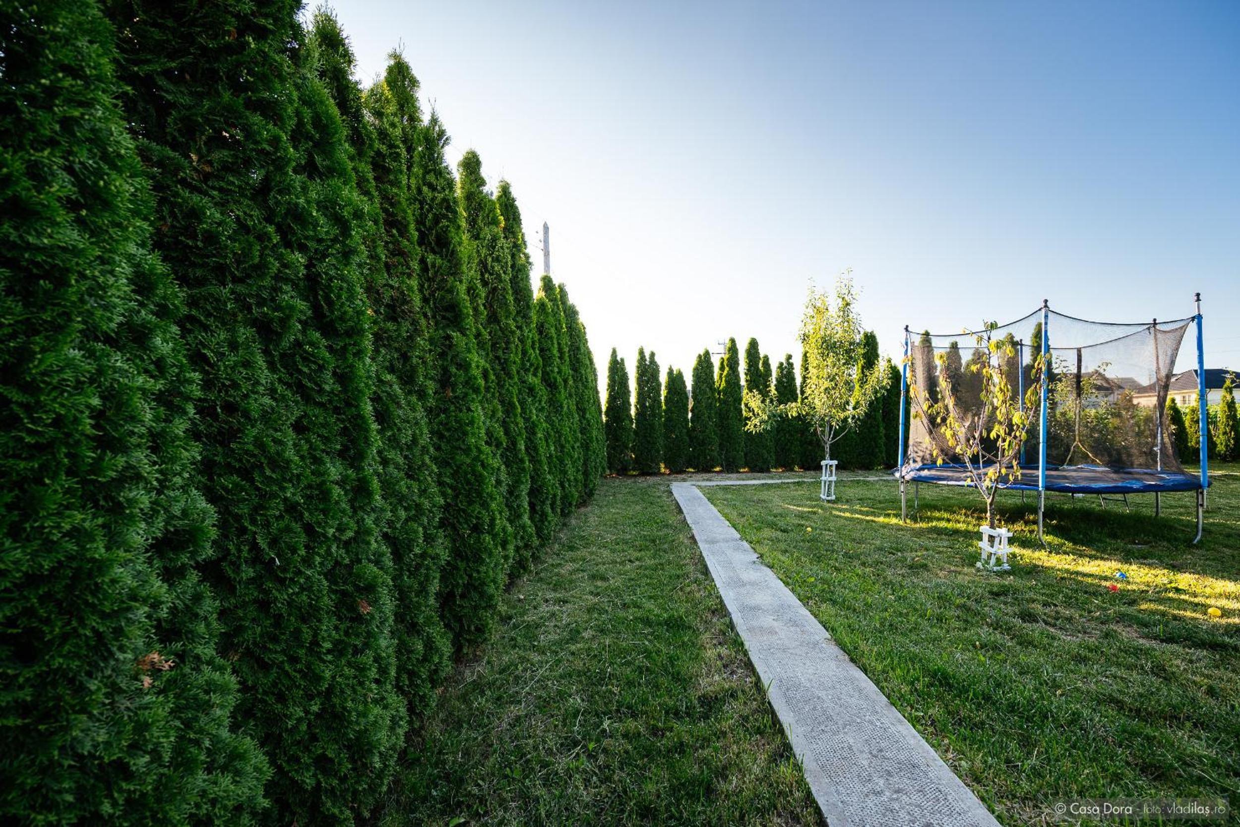 Photo 50