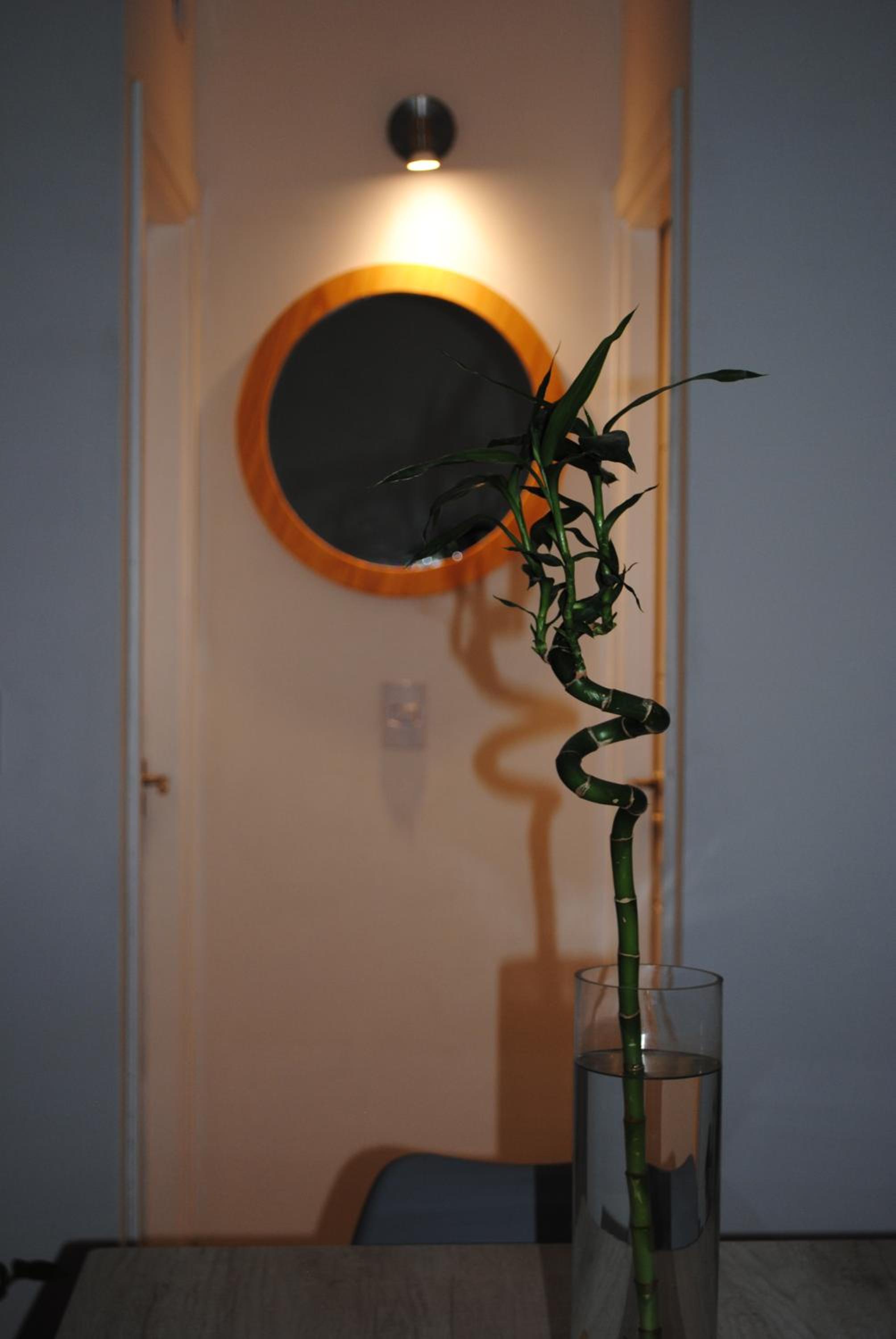 Amazing Boutique Apartment VCP