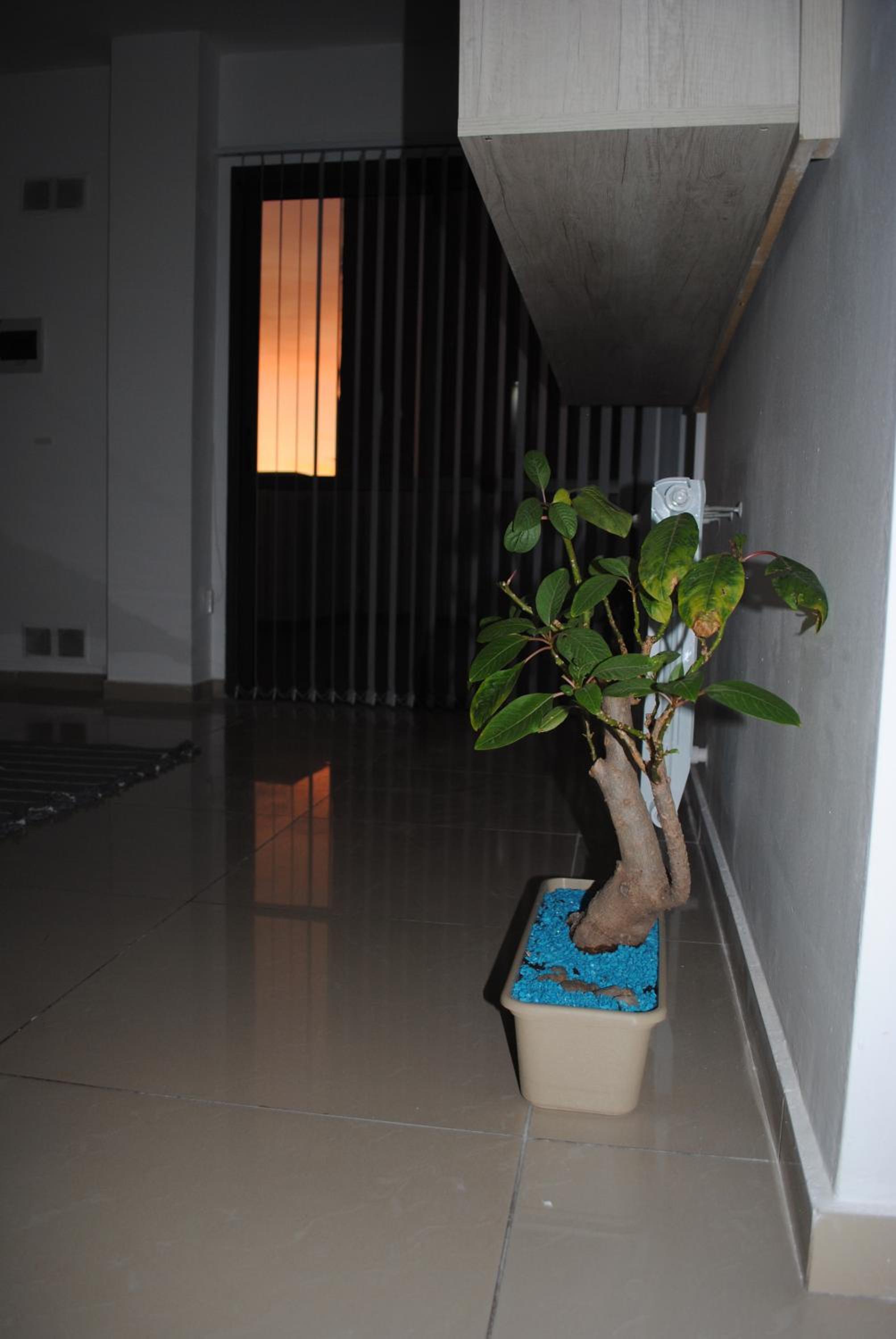 Amazing Boutique Apartment VCP