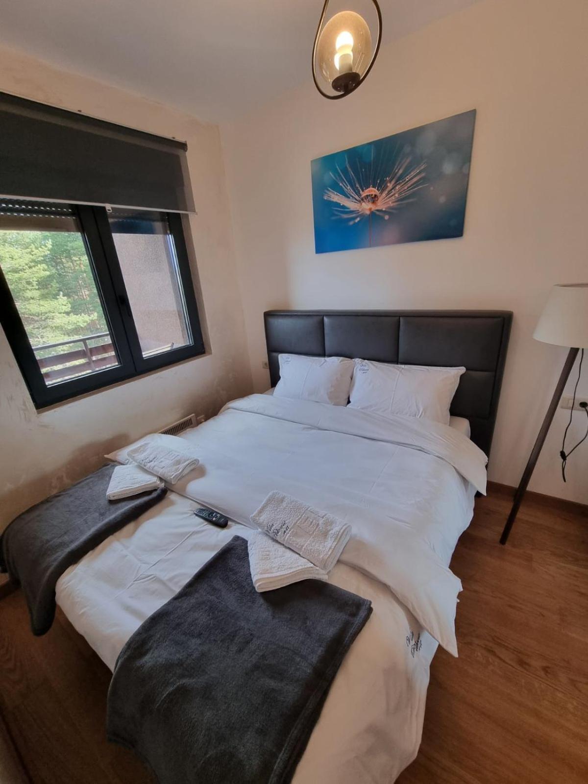 Vila Peković Blue A17 sa garažom-Zlatibor