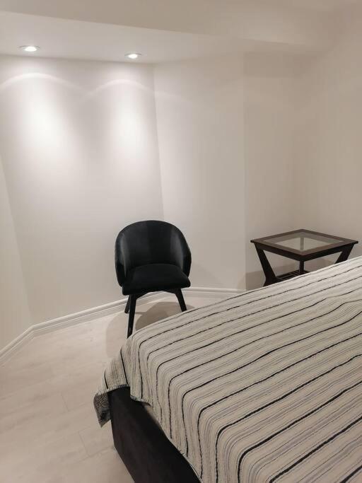 New modern basement in Milton
