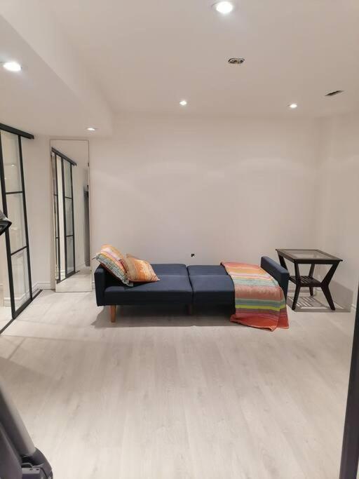 New modern basement in Milton