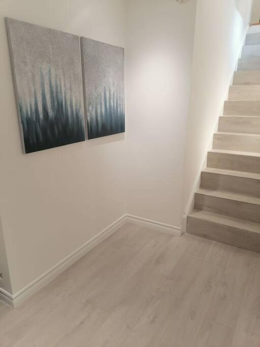 New modern basement in Milton