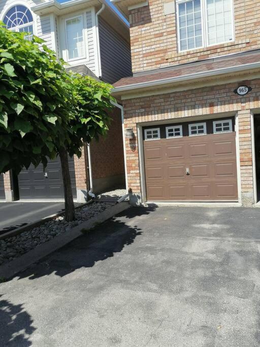 New modern basement in Milton