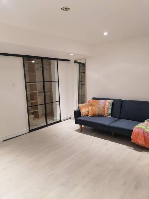 New modern basement in Milton