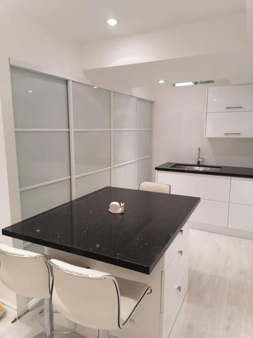 New modern basement in Milton