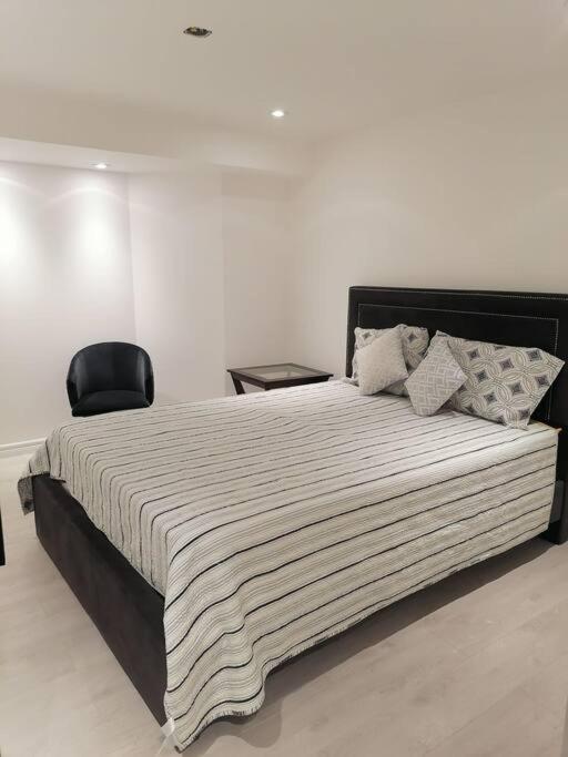 New modern basement in Milton