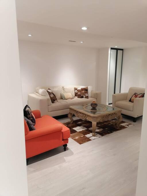 New modern basement in Milton