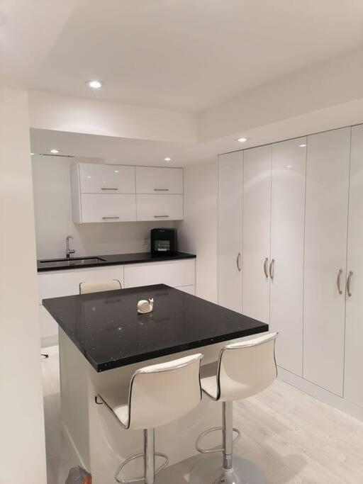 New modern basement in Milton